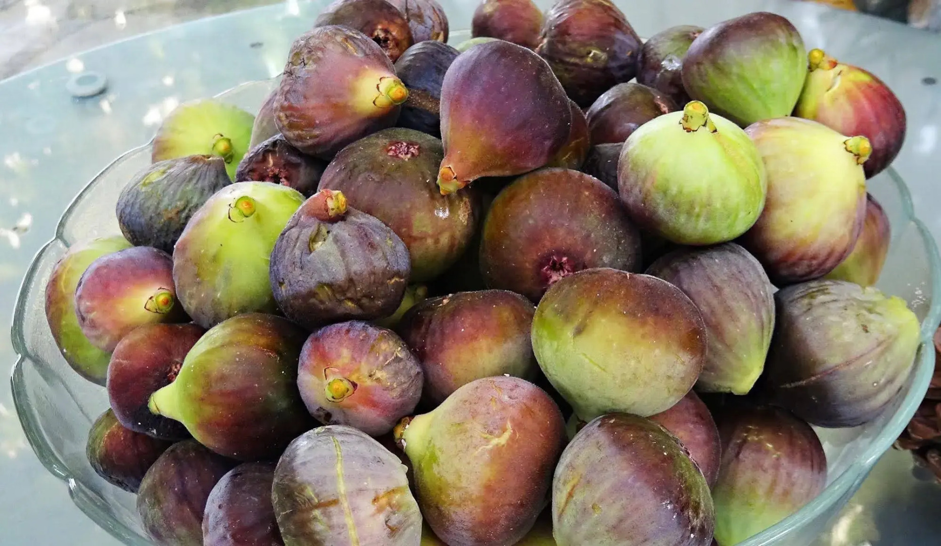 Hotel Rural Vilaflor