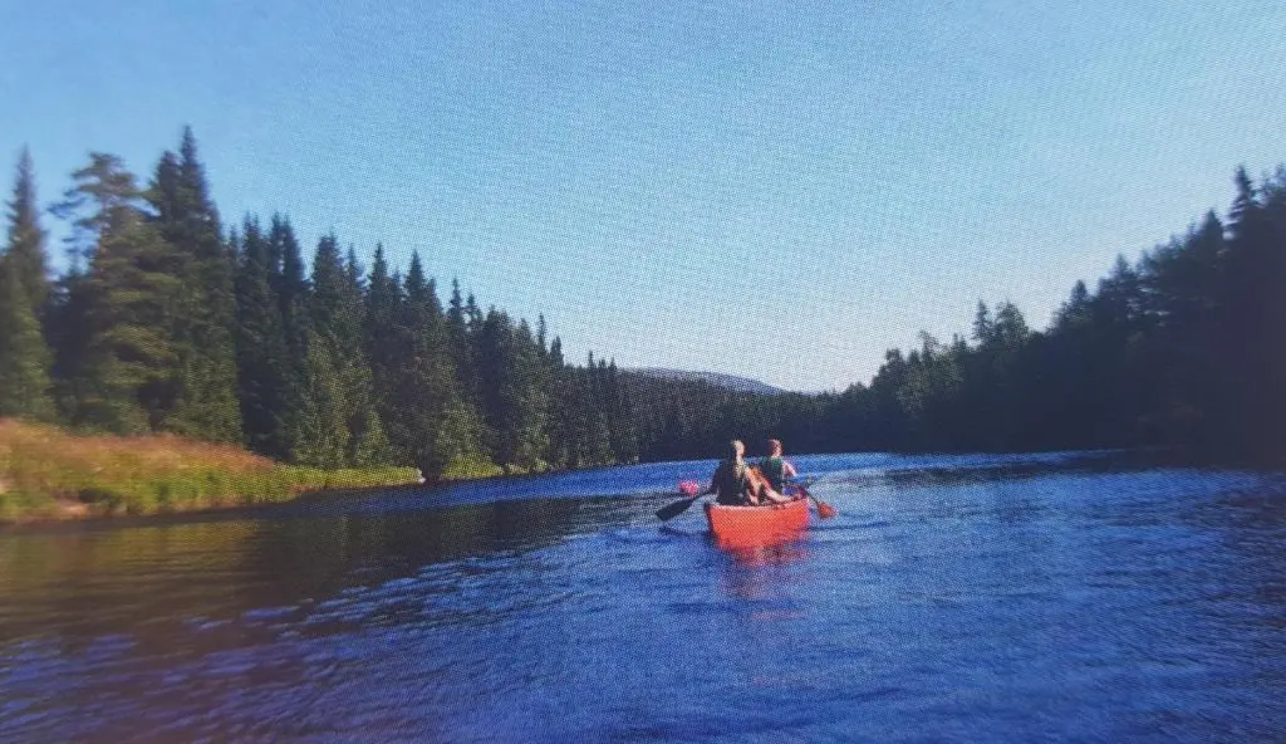 Solbjørnlia Apartments