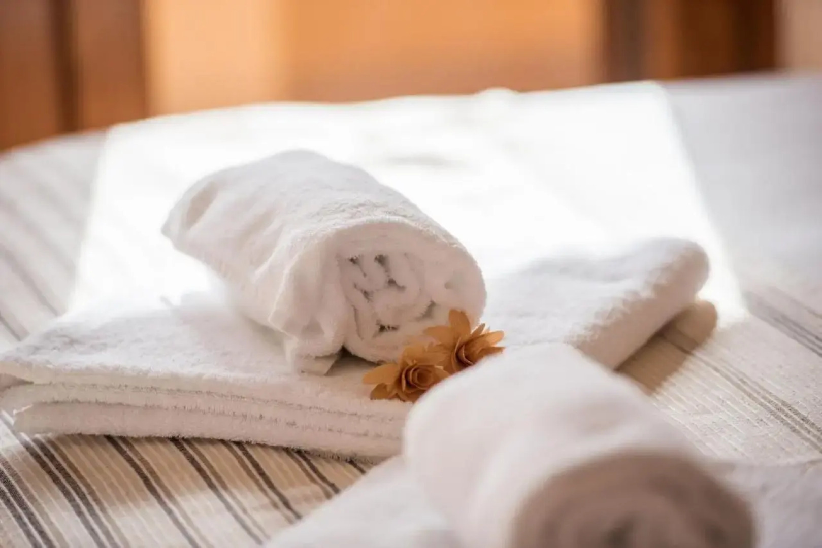 Apartments Insula Aurea