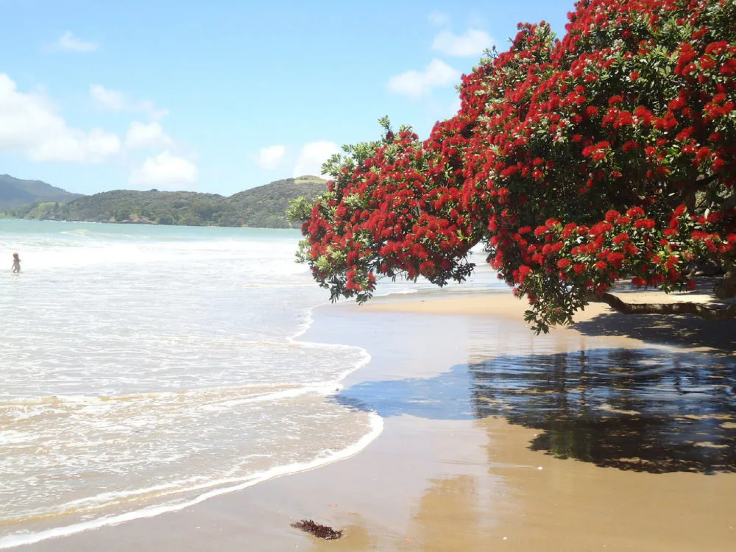 Coopers Beachfront Suites