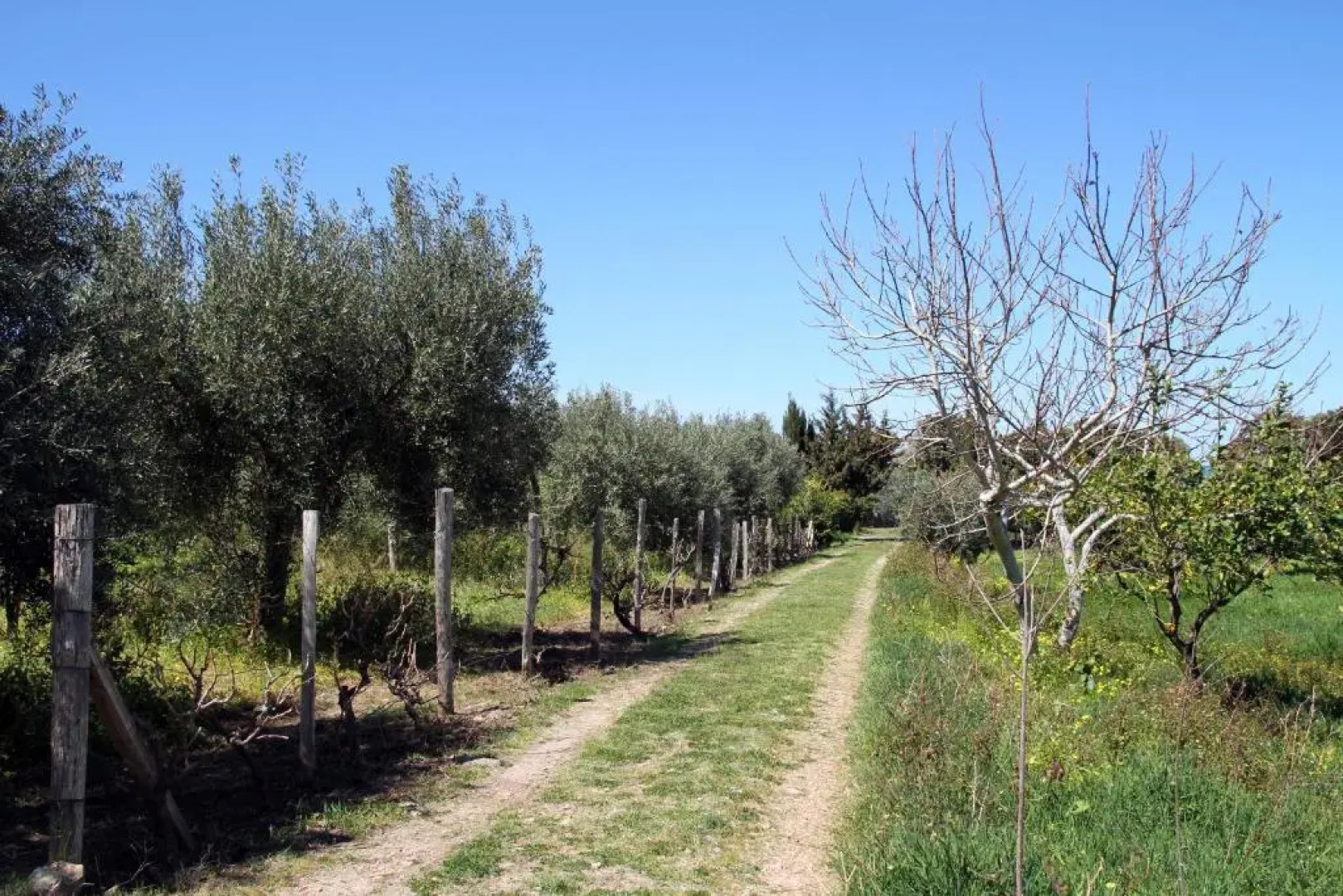 Tenuta Piana 2 con accesso diretto al mare