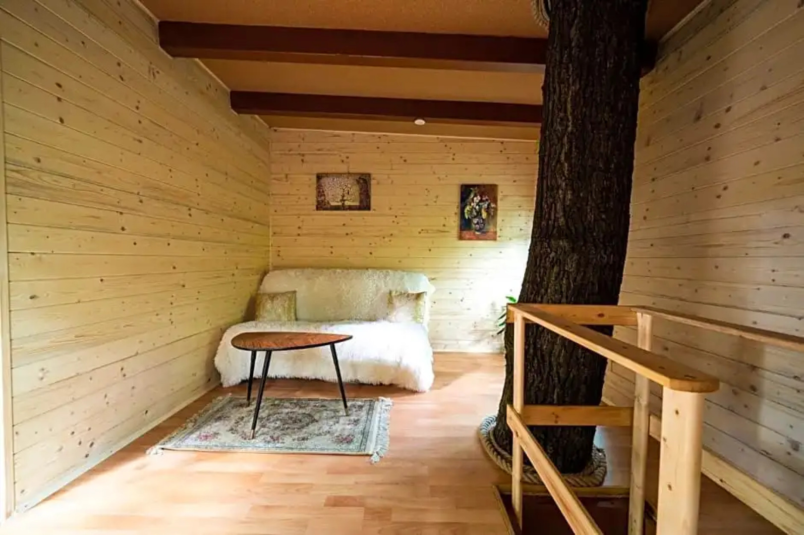 Treehouse Zlatá Koruna