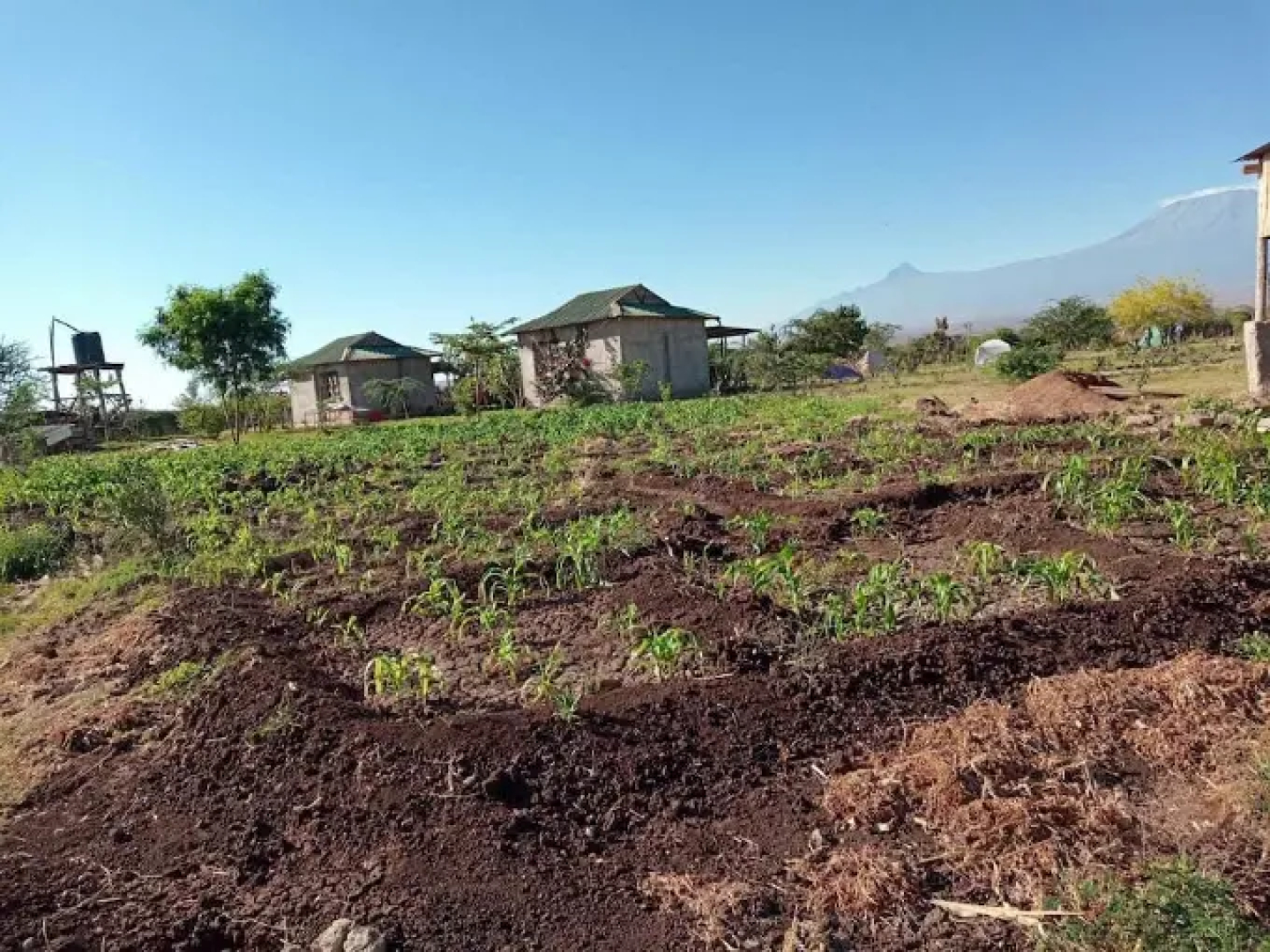 WE4Kenya Guesthouses and Farm
