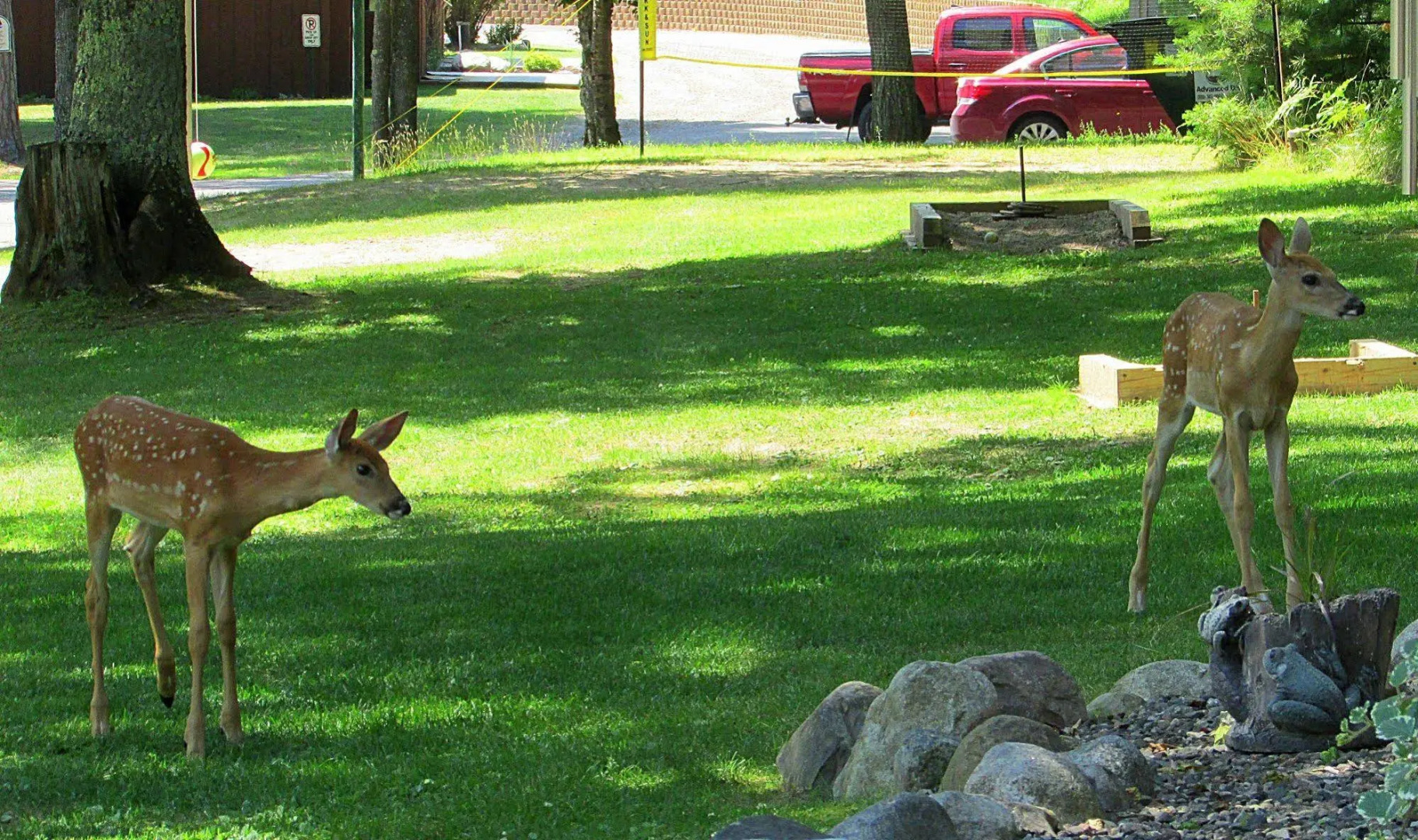 Lake Forest Resort & Club