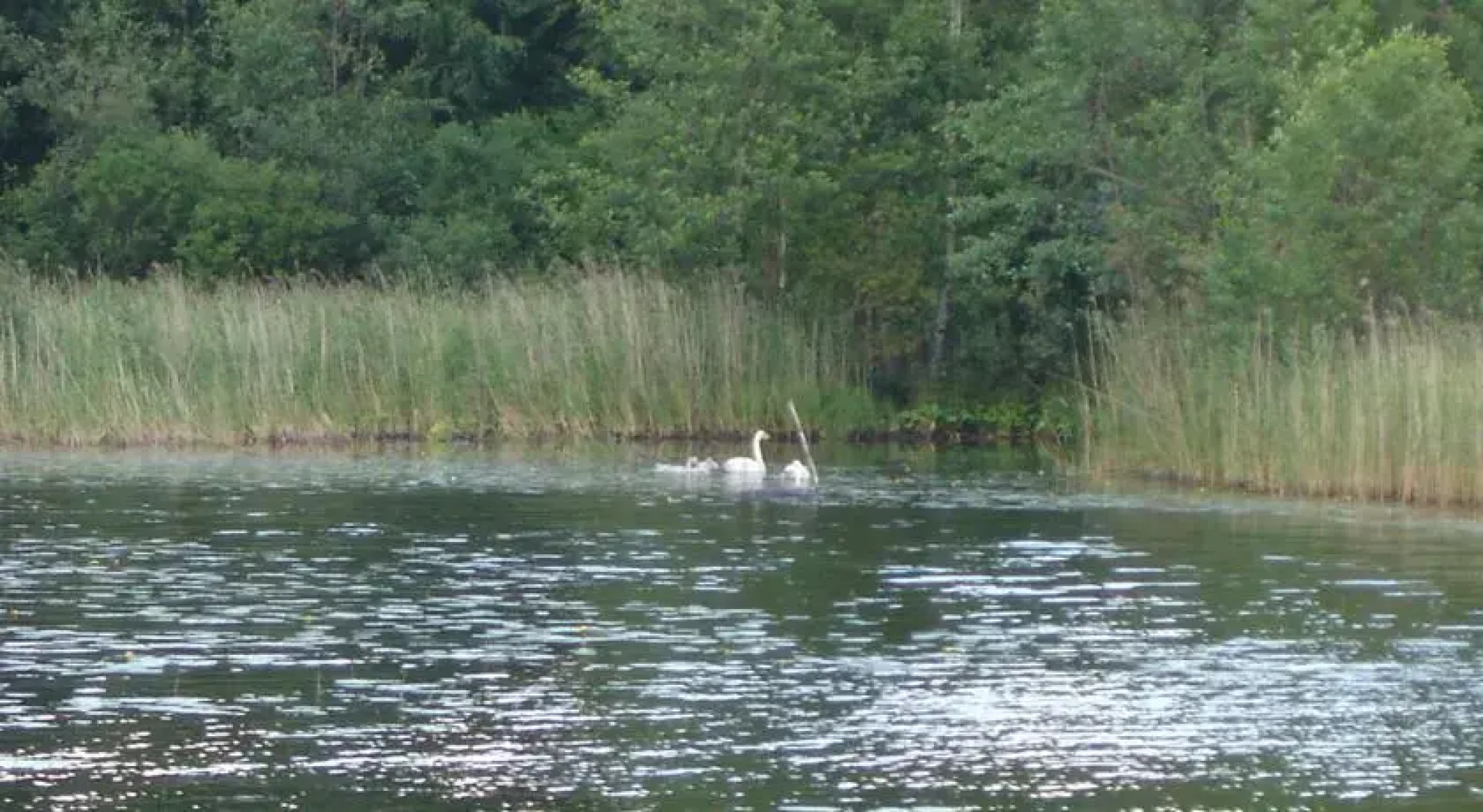 Suur-Onkamo Cottages