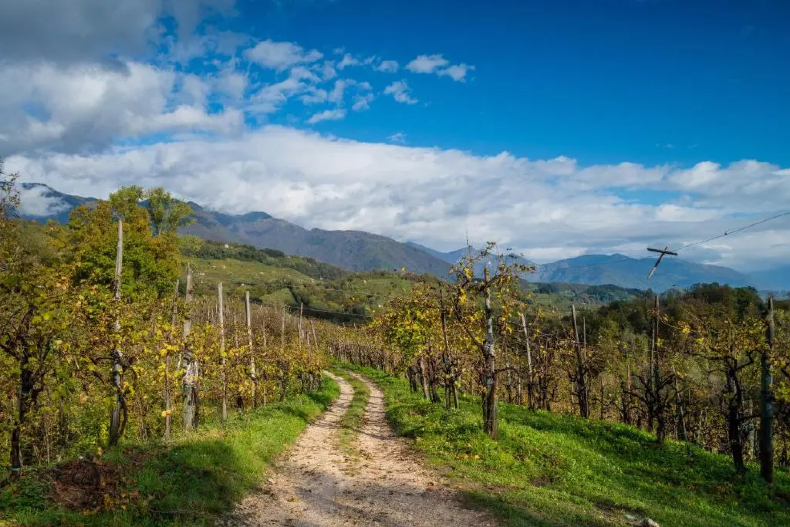 Hotel Ristorante Tegorzo