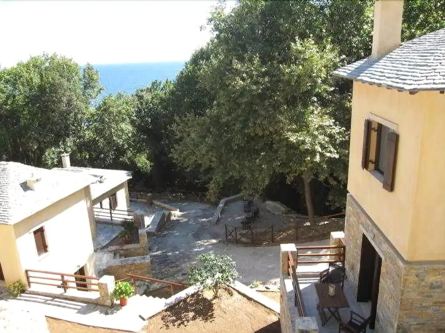 Vergopoulos Olive Yard