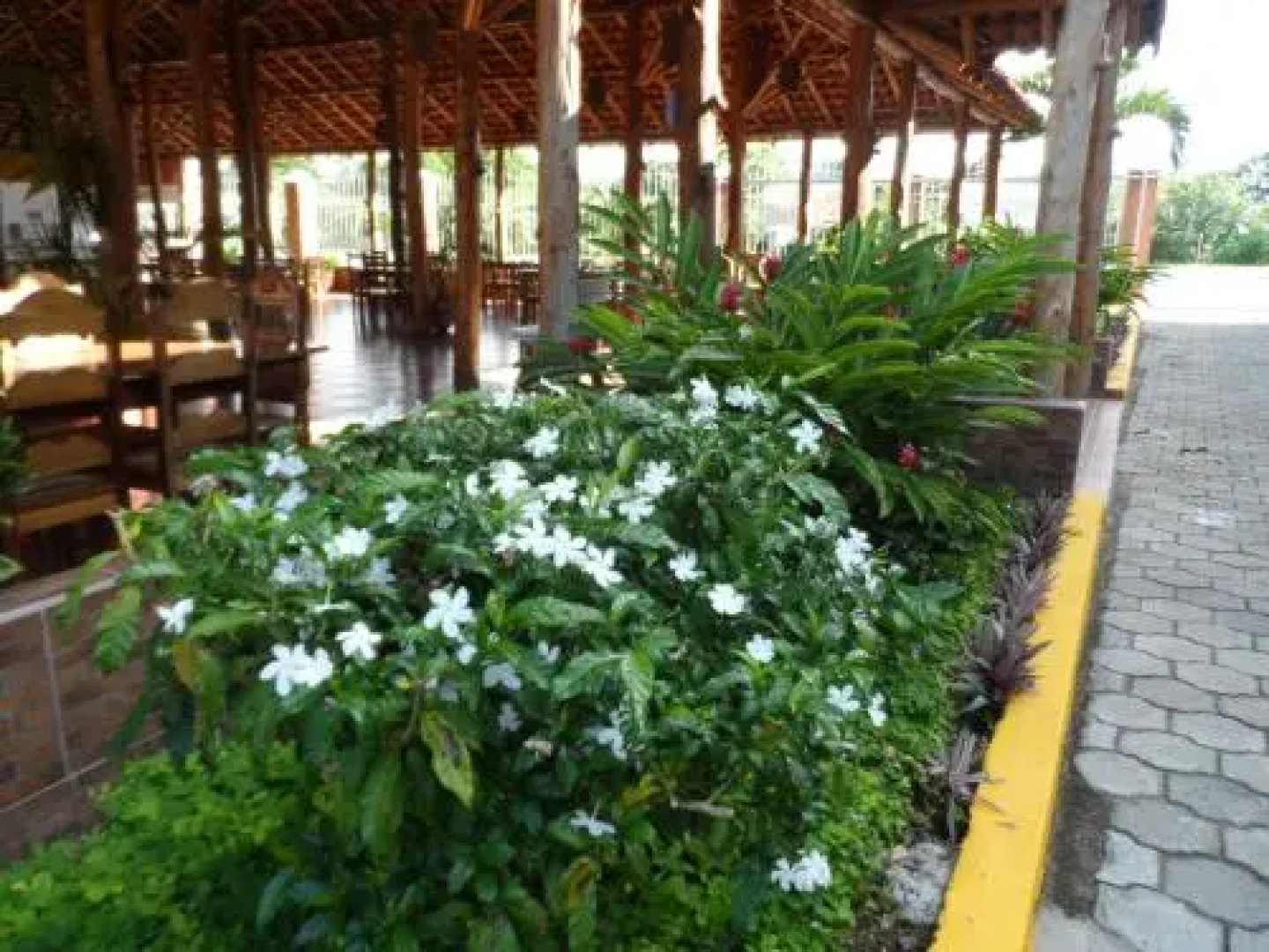 Hotel Restaurante Plaza Manchon
