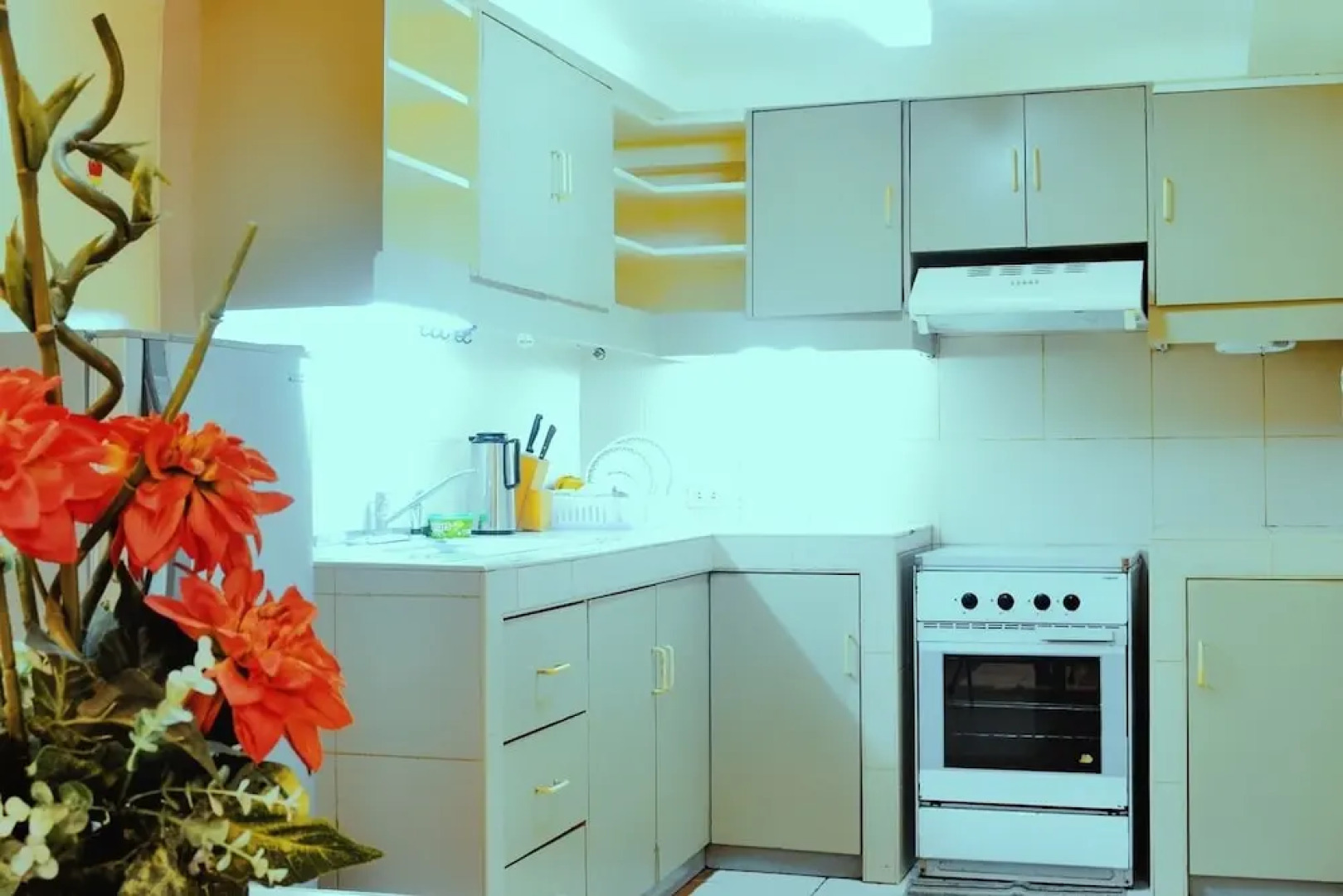 The Ancestors Pension