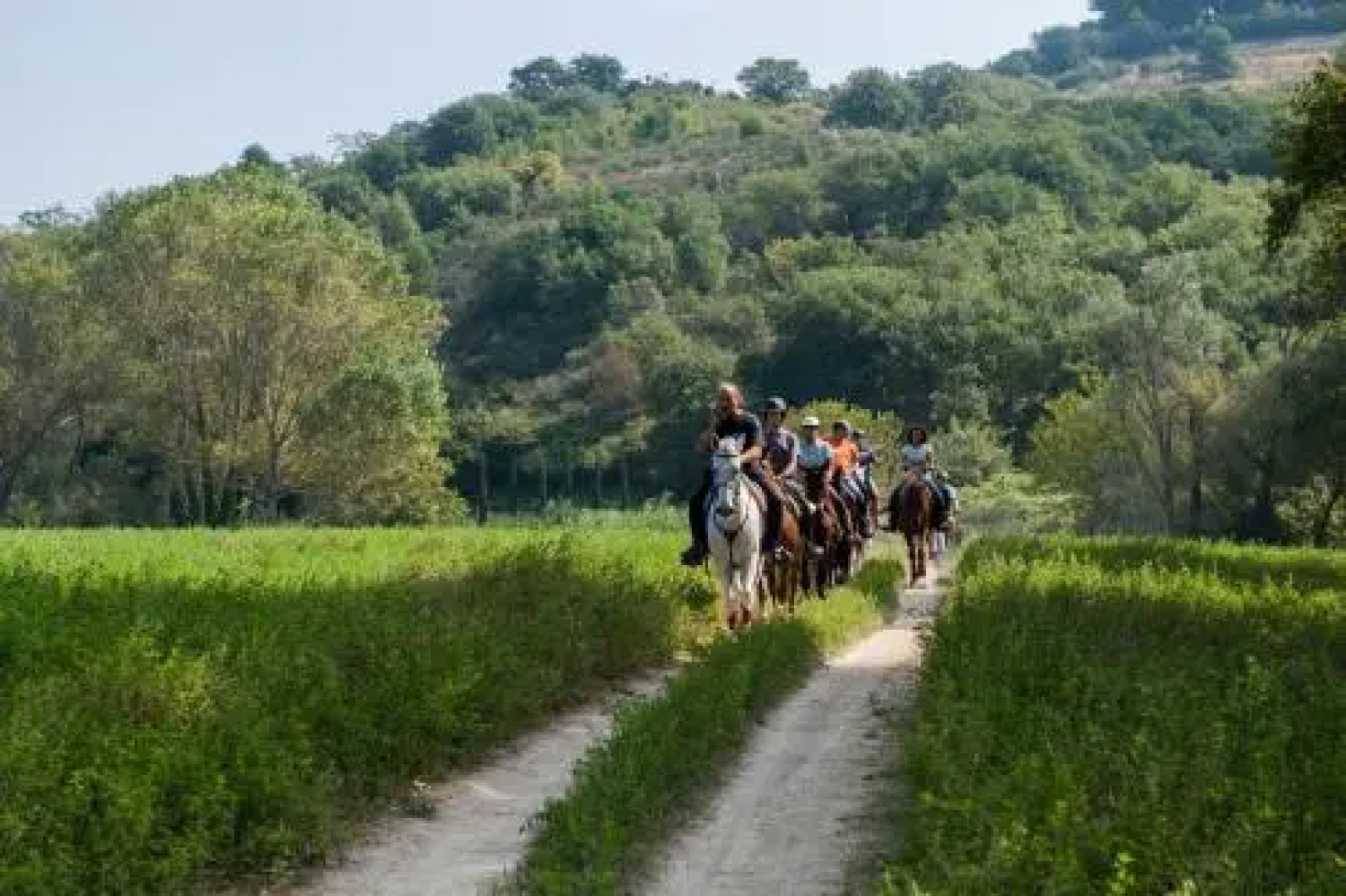 Rustico del Conero