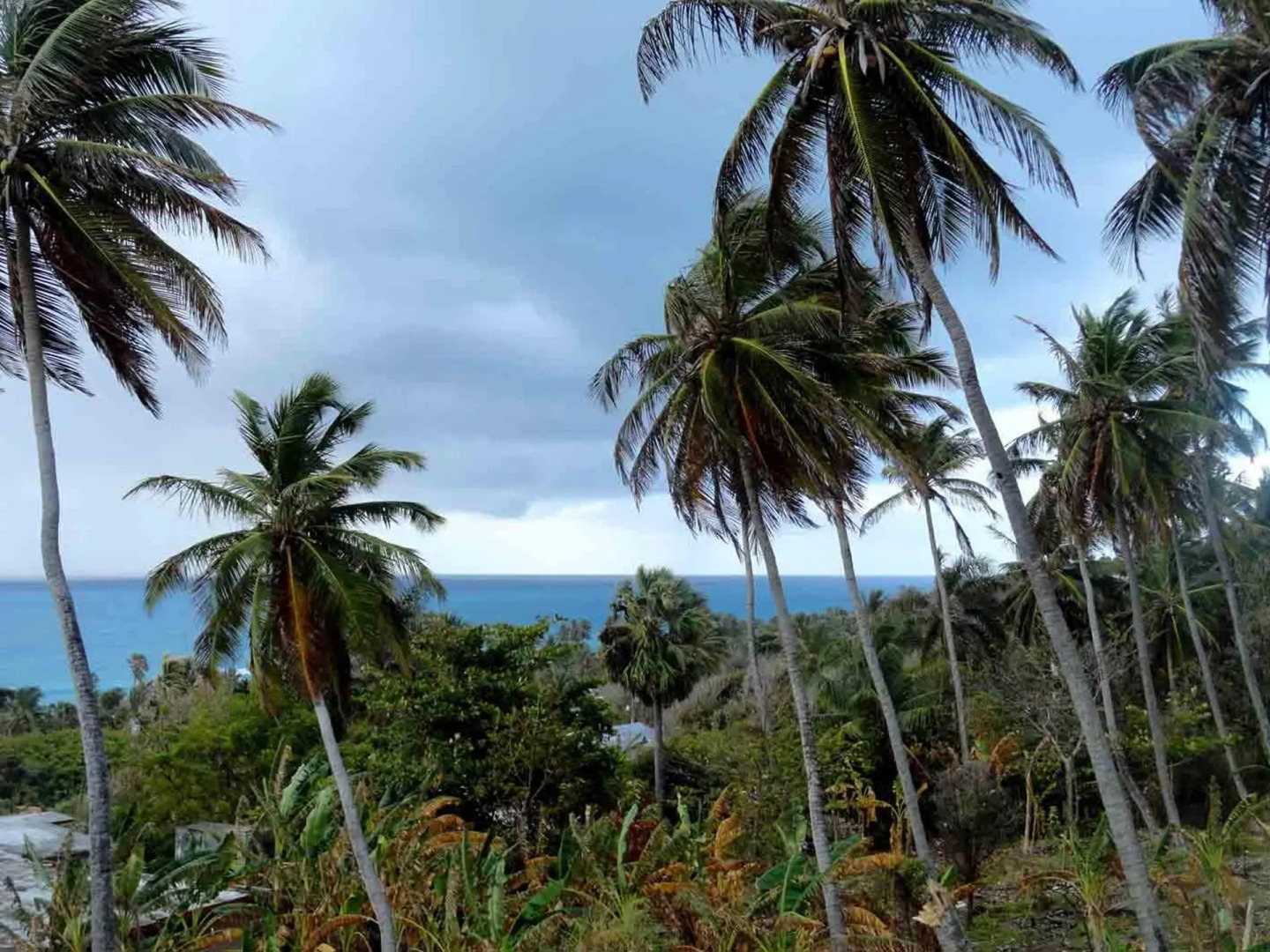 Hotelito Oasi Italiana