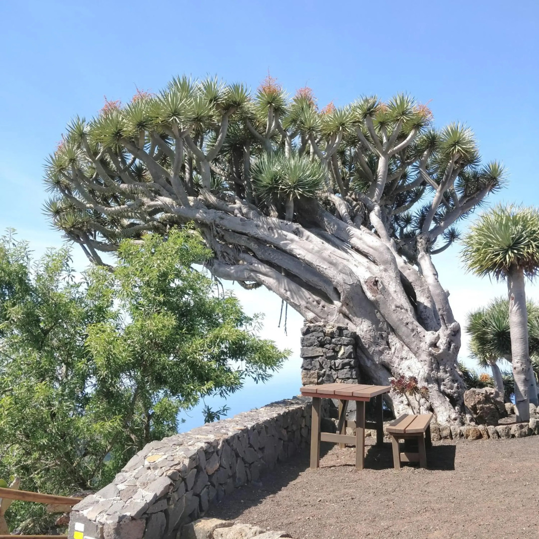 Villa Atlantico - beheizter Pool, Sauna