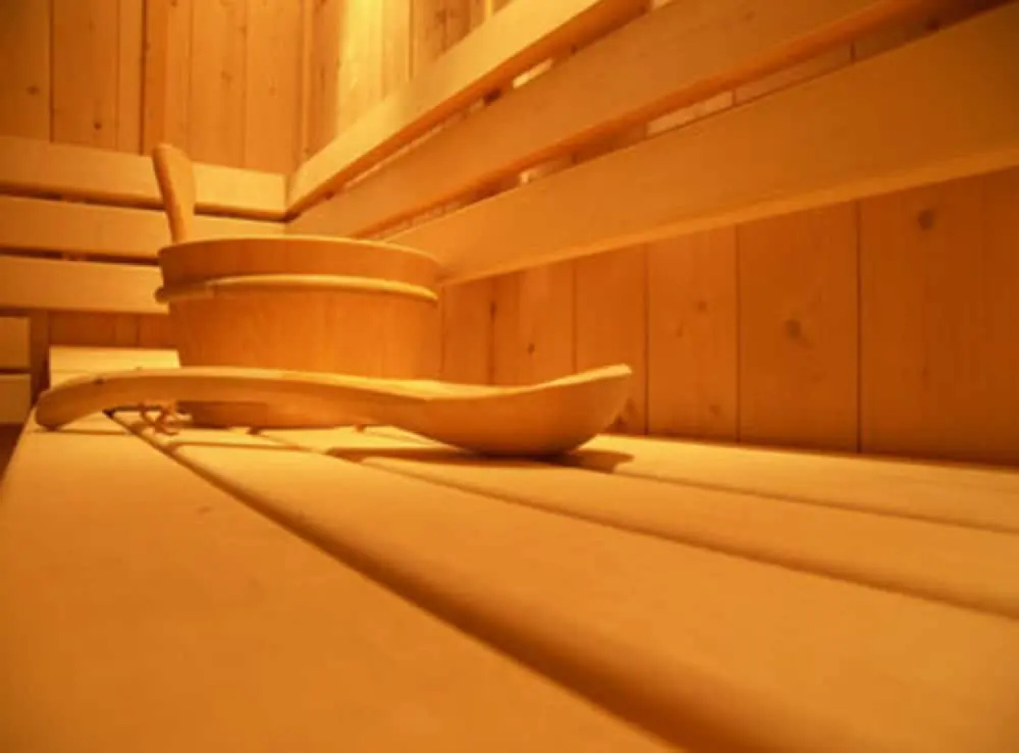 Ferienhof  Alte  Schmiede