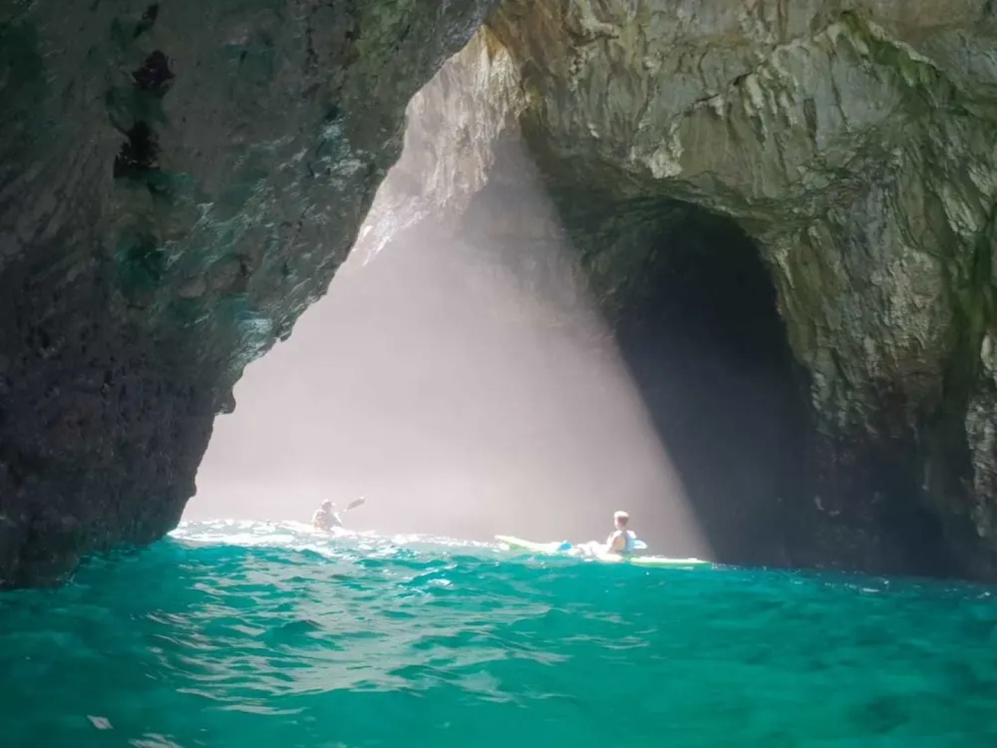 El Búho de la Remolina