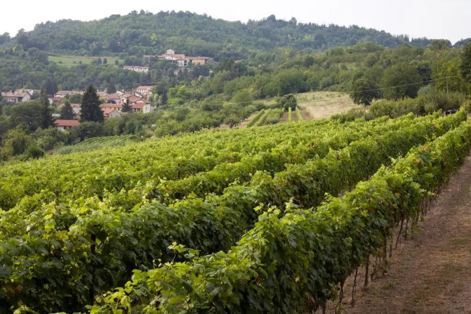 Agriturismo Ca San Sebastiano Wine Resort & Spa