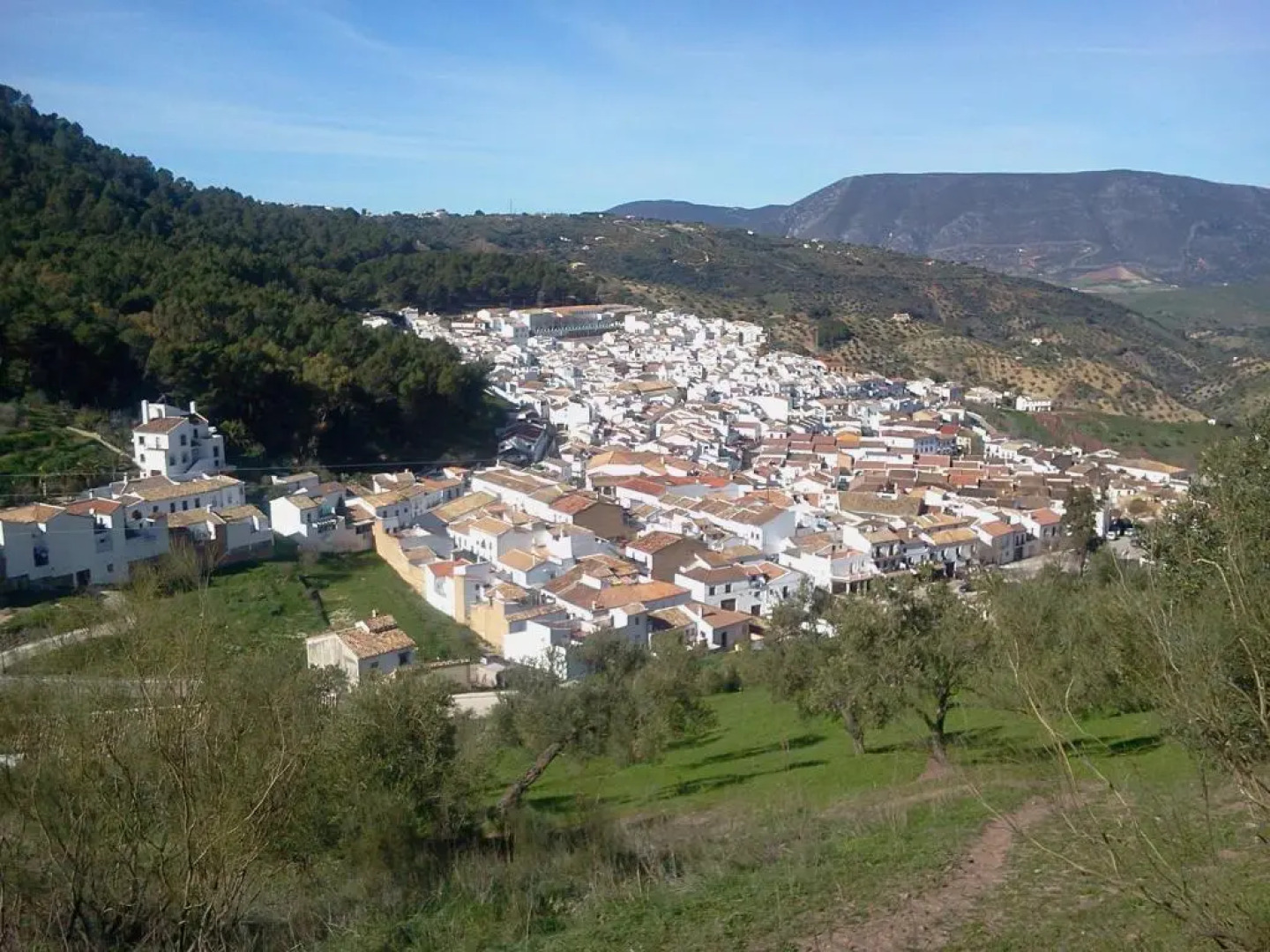 Alojamiento El Molino