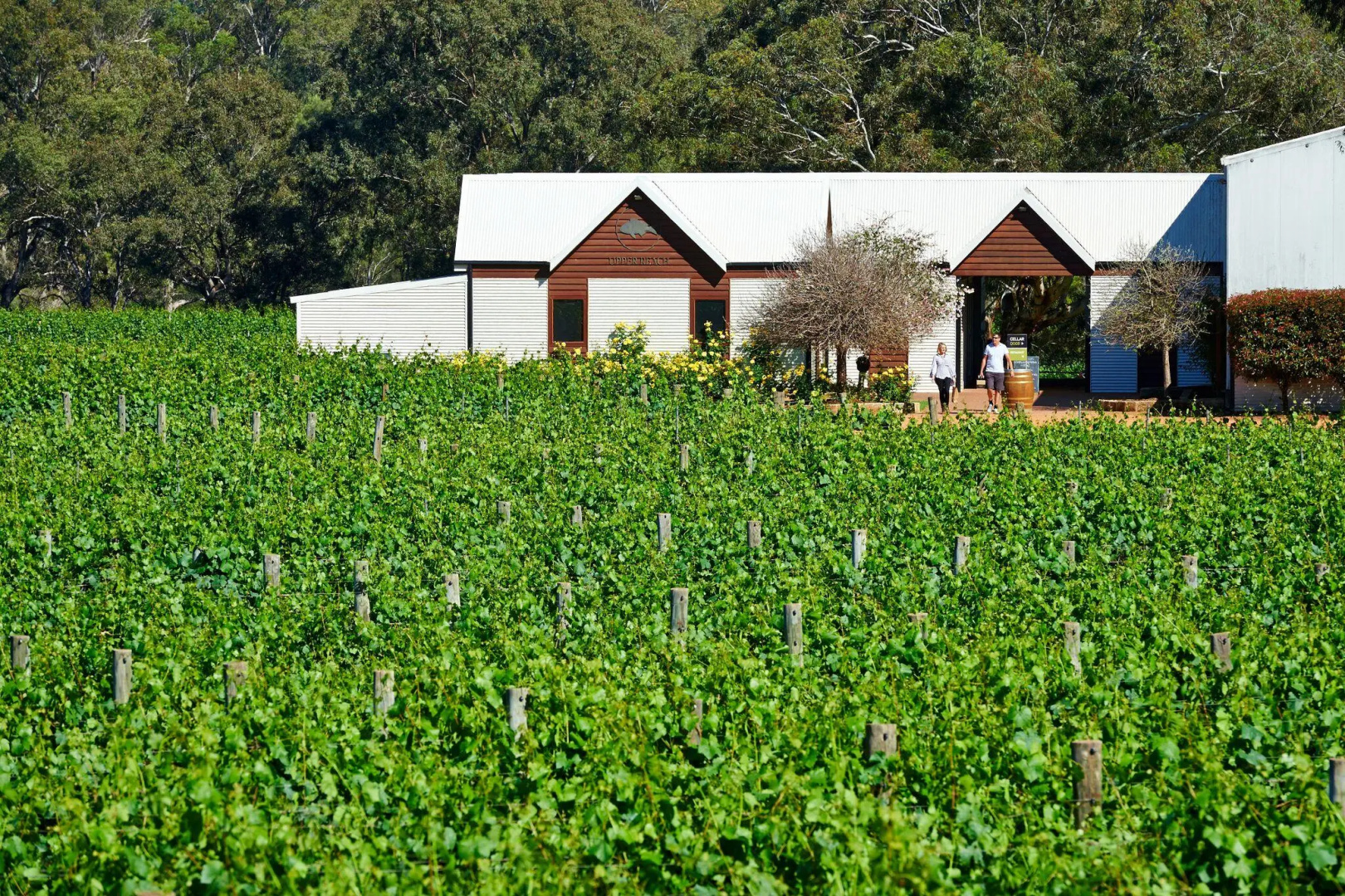 Vineyard Cottage at Upper Reach Winery