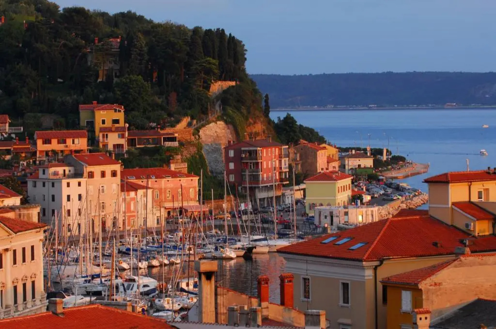 A Little Tower With A View