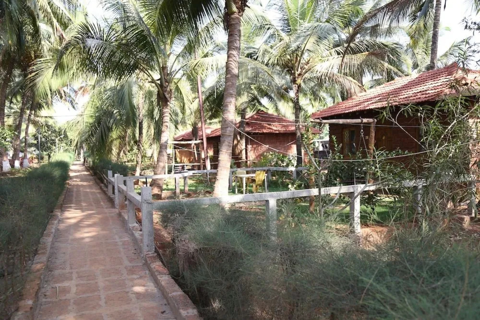 Darya sarang resort & Beer shopee