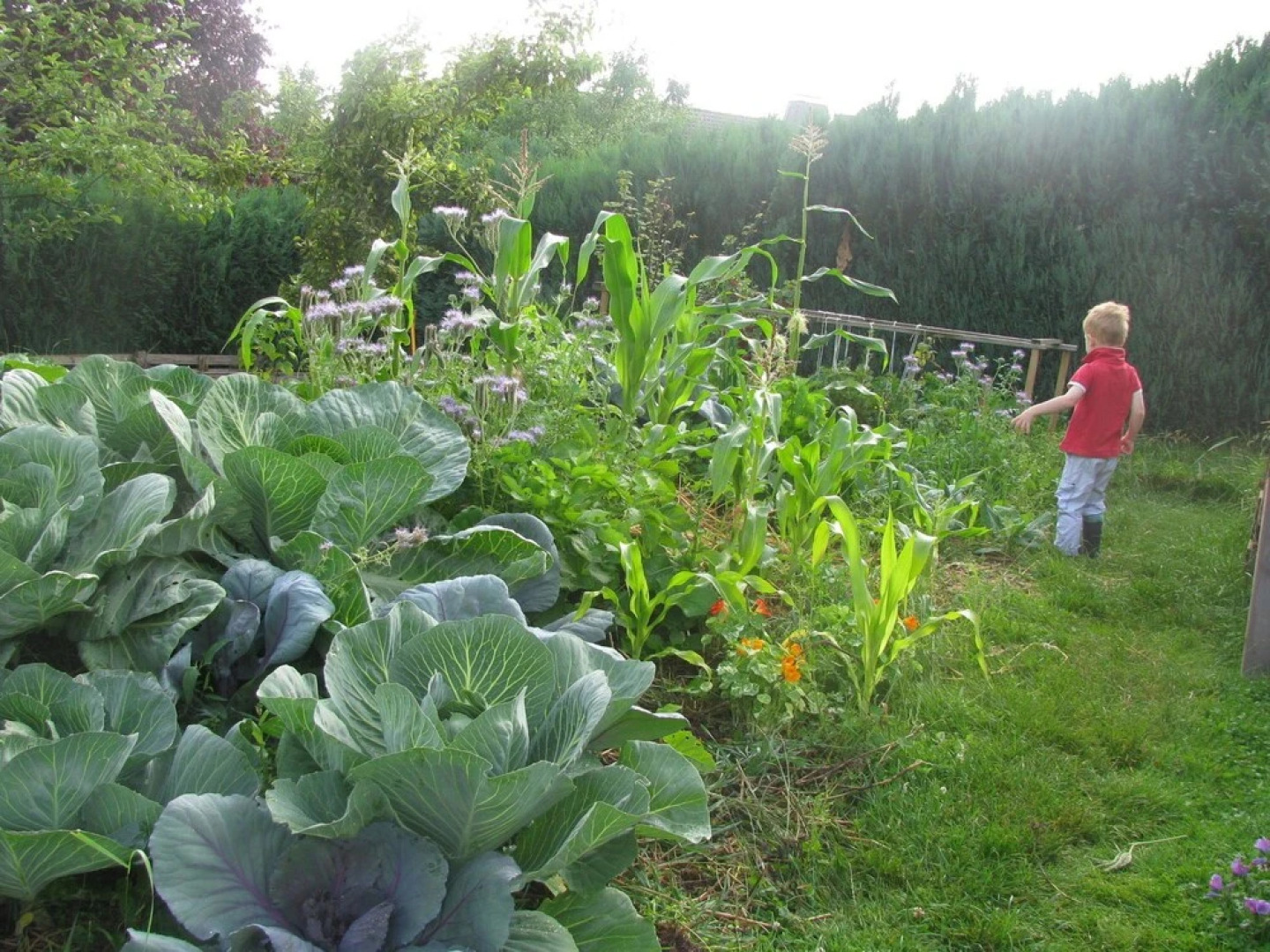 Pleasing Apartment in Battenberg Germany near Ski Area