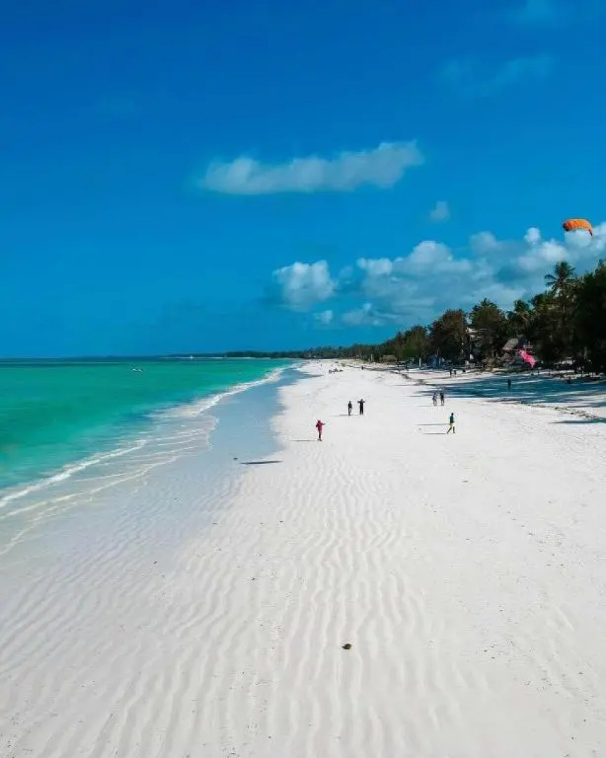 Butterfly Apartment Zanzibar