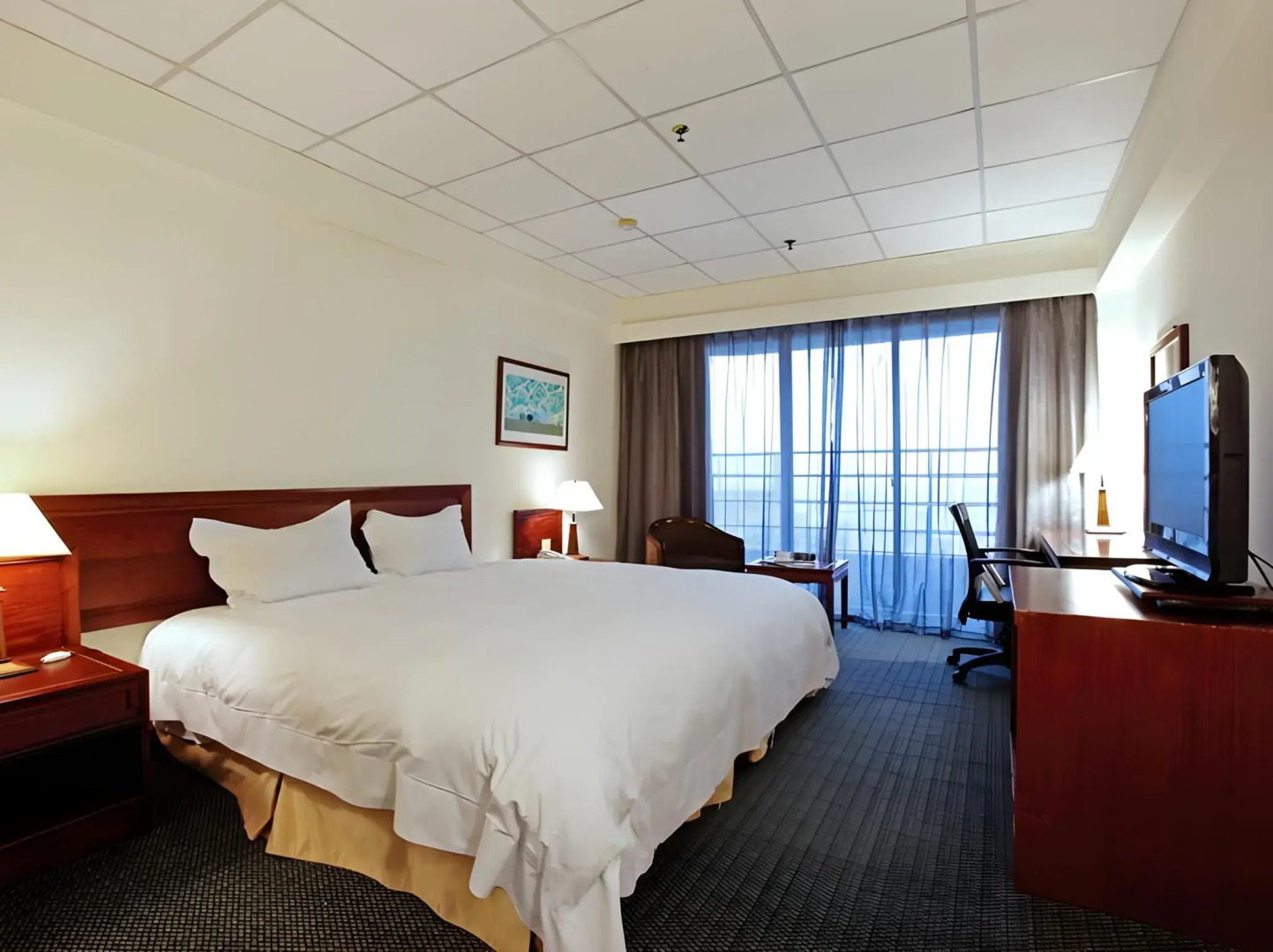 Metro Hotel - Howard Group