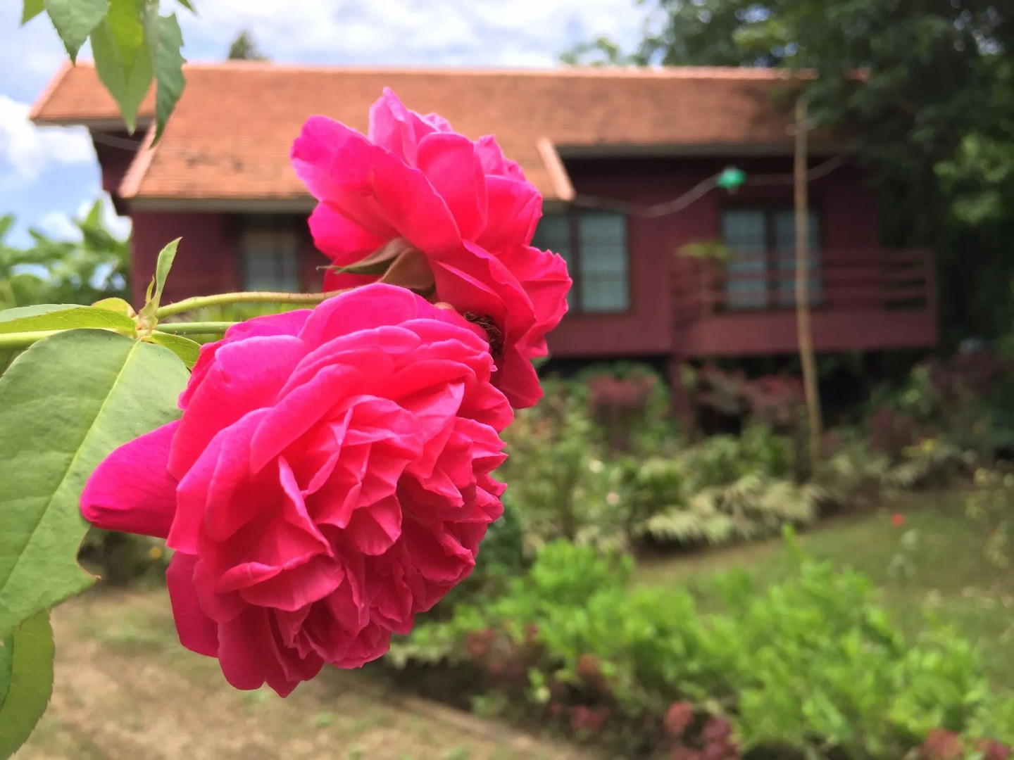 Chiangmai Royal Creek