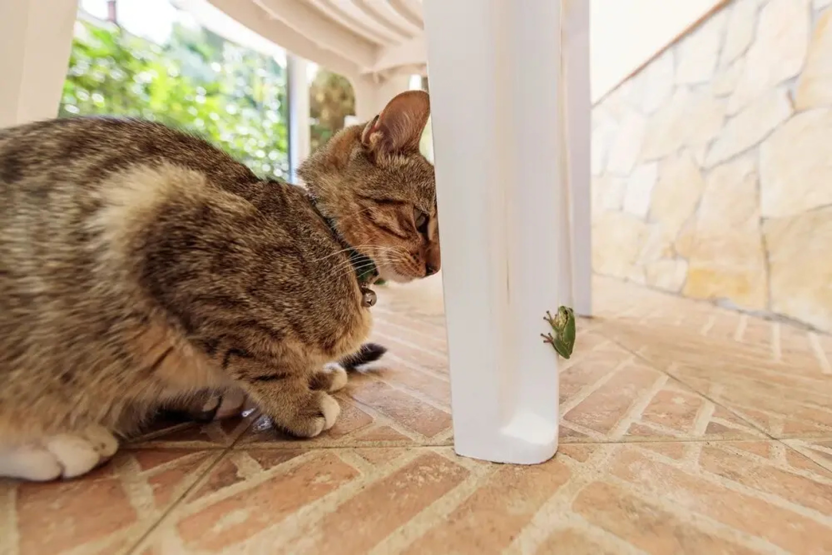 Villa With one Bedroom in Santa Teresa di Riva, With Wonderful sea View, Private Pool and Enclosed Garden - 1 km From the Beach