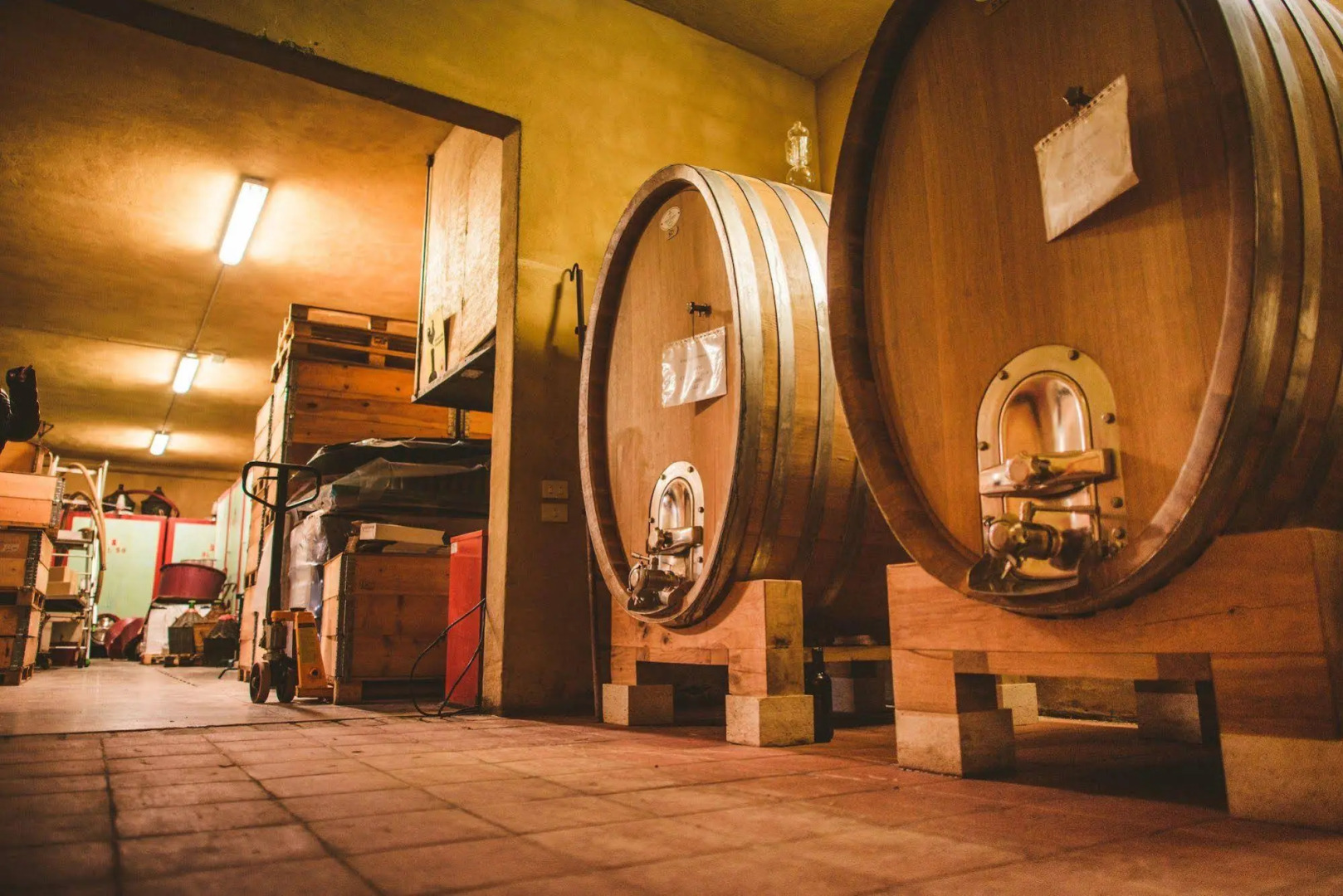 Fattoria di Corsignano