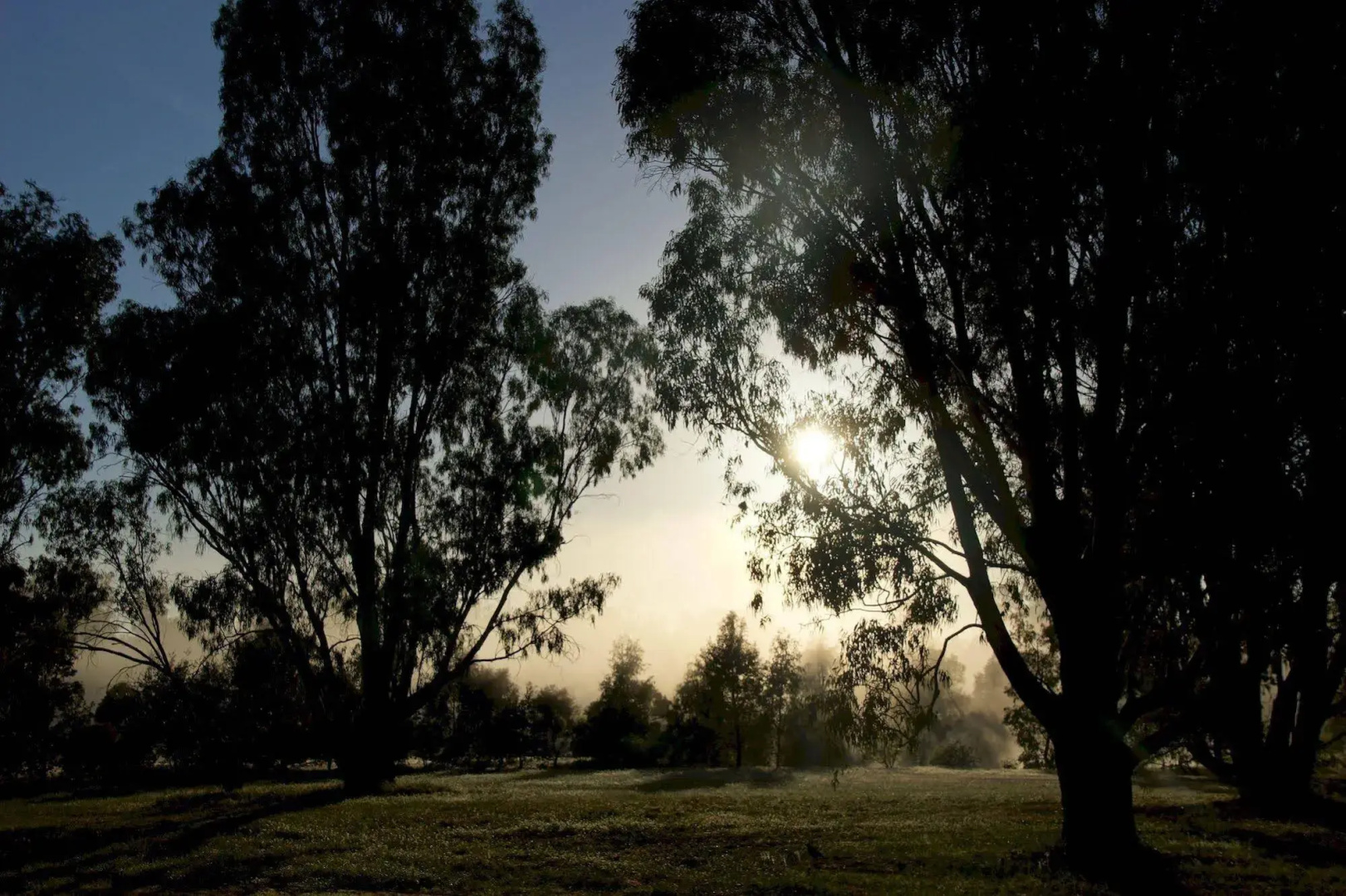 Ingenia Holidays Murray Bend
