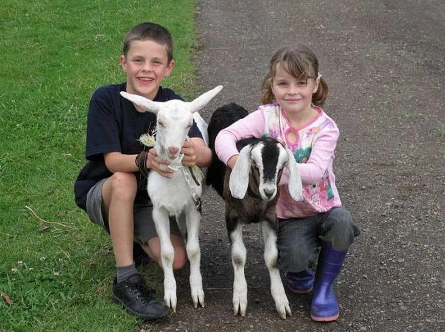 Honeycomb Valley Farm