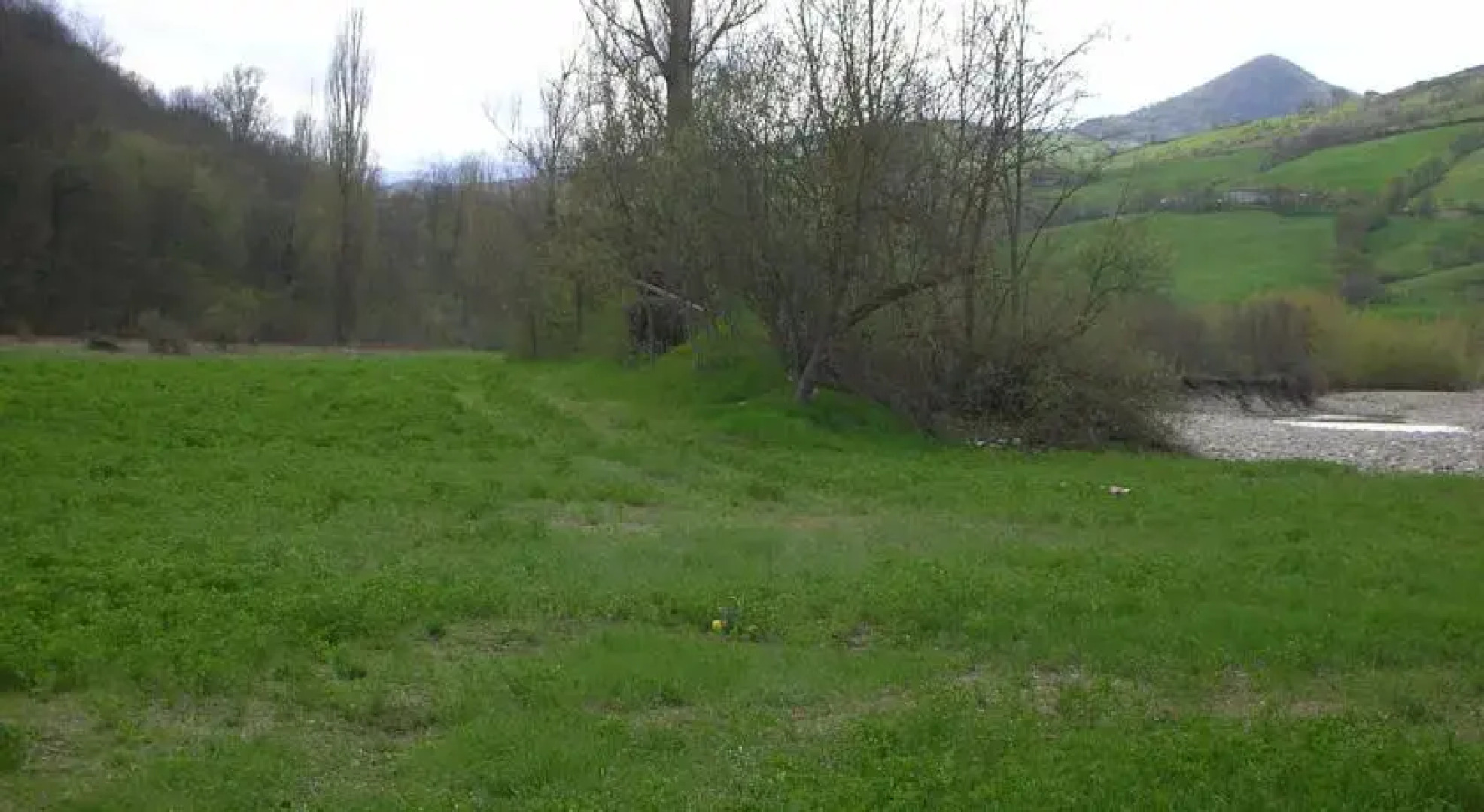 Agriturismo Casa Volpa