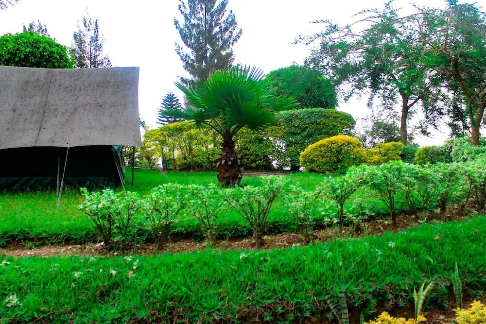 Ruhondo Beach Resort