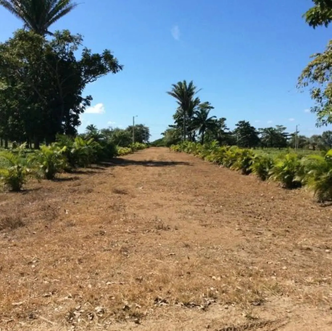 Trujillo Eco Beach 228