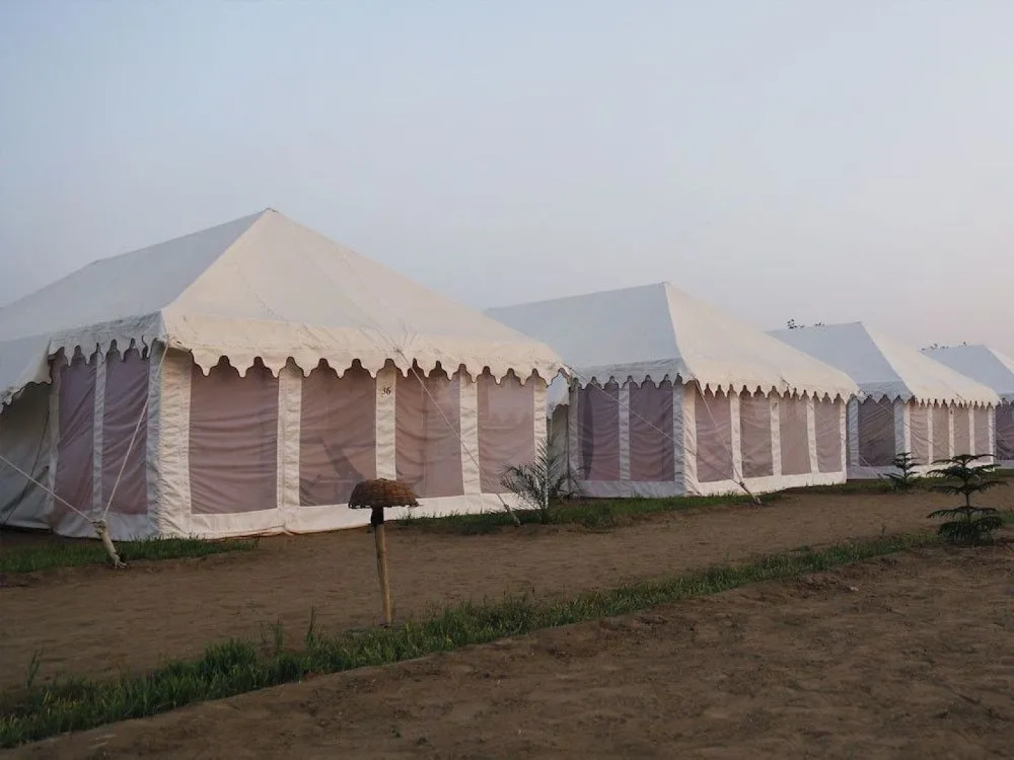 Pushkar Camp Tapovan