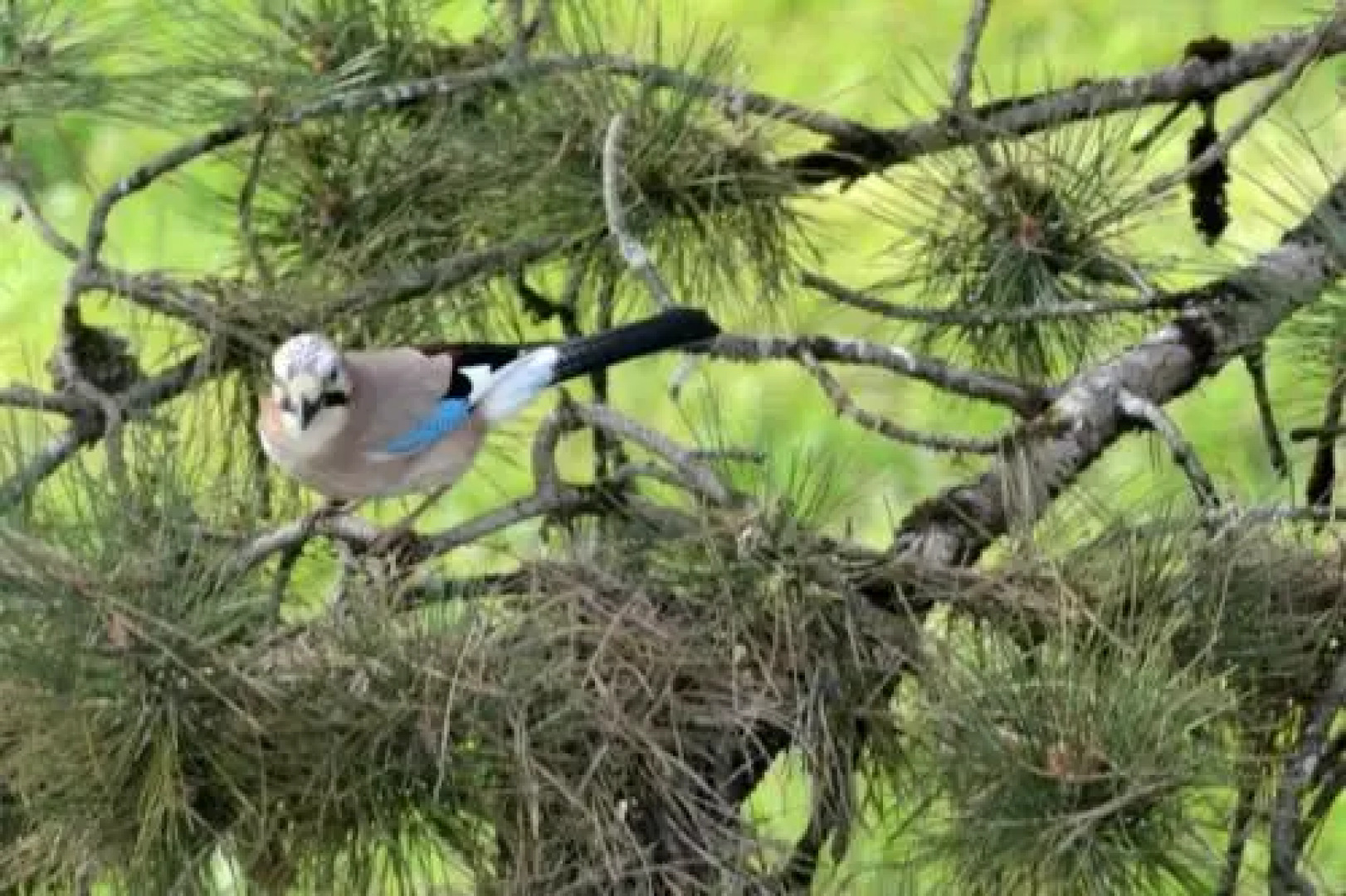 Vivre Nature au Château