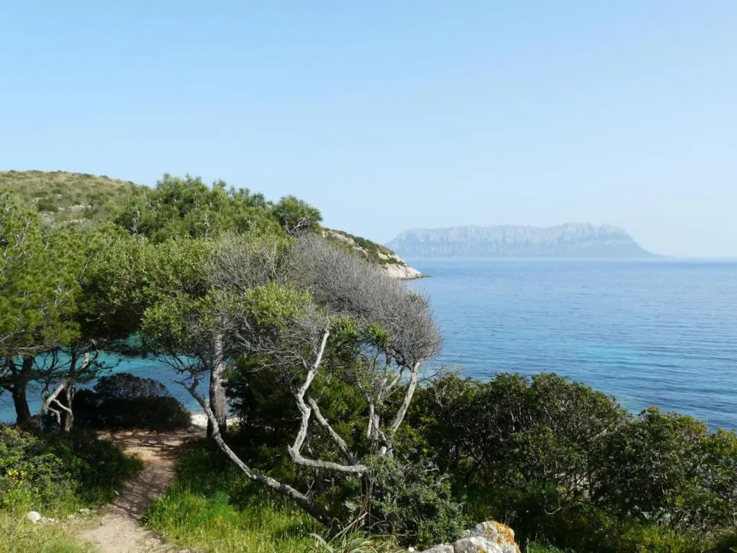 Affittacamere il Laghetto