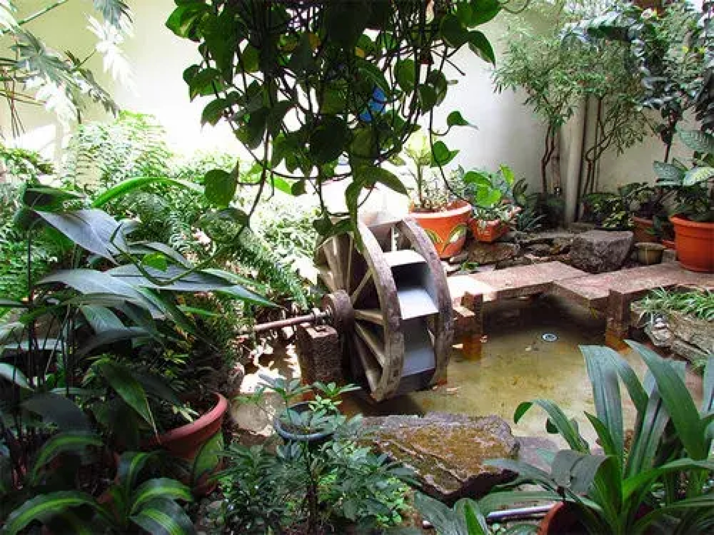 Hotel Villa Serena San Benito