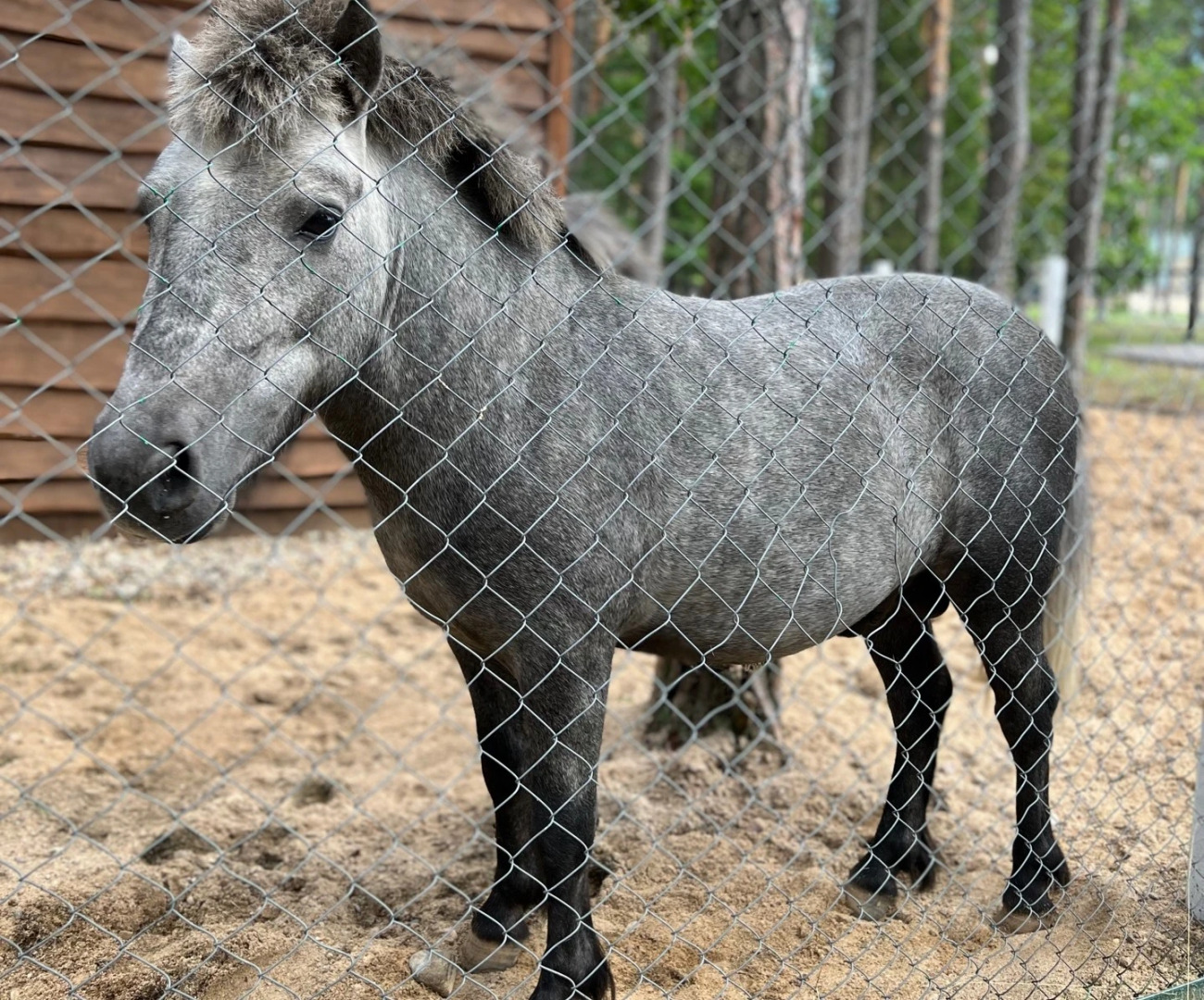 Ruzhanskij Sanatorium