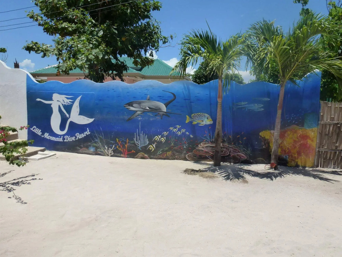 Little Mermaid Dive Resort