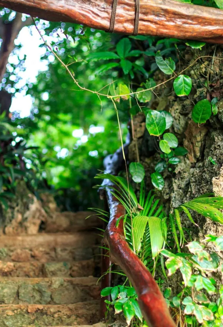 Savasi Island Resort