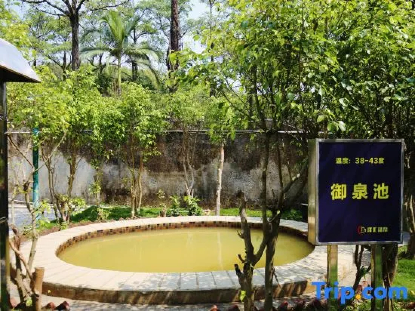 Taishan Zehui Hot Spring Resort