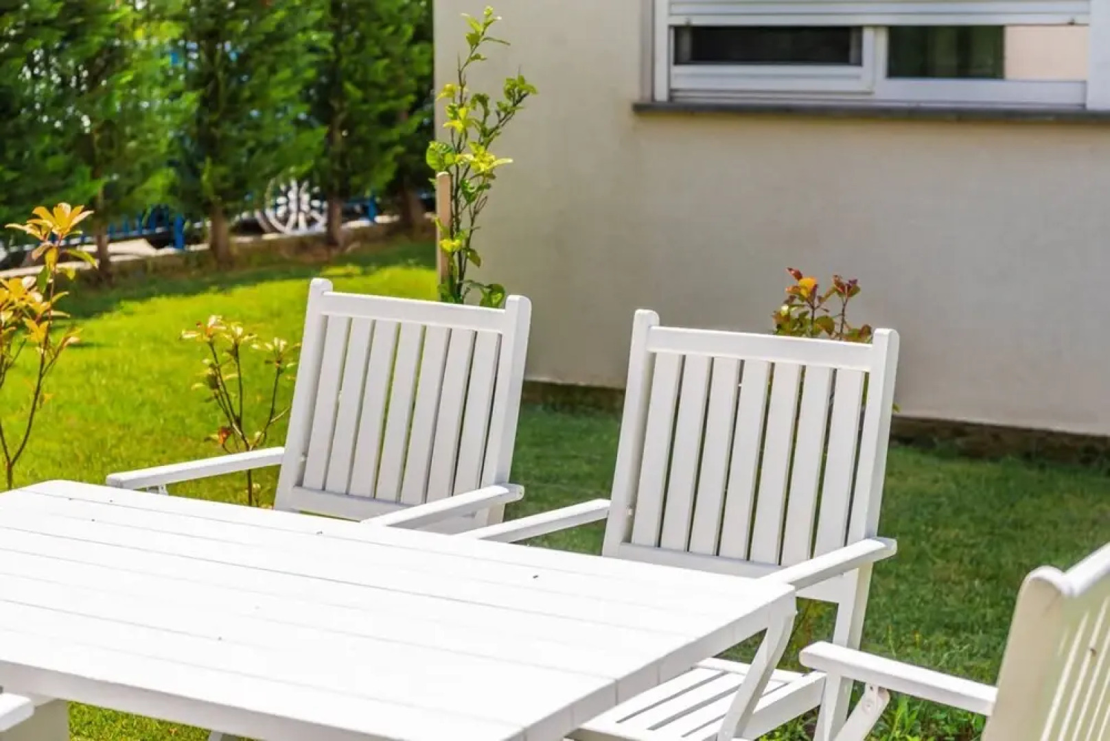 Talea Joyful Stay in Tale