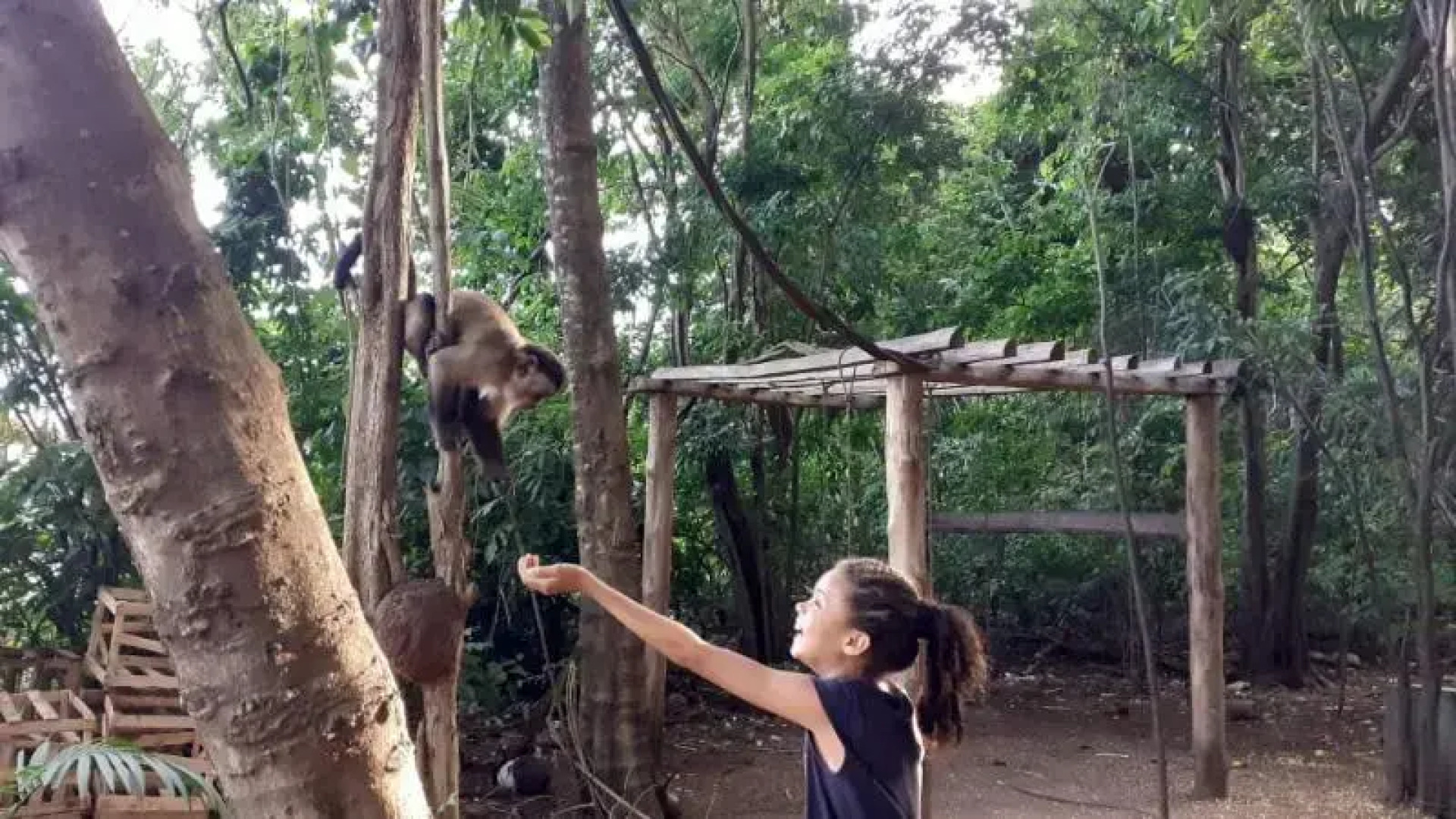 Domus Hotel Palmeiras - Canaã dos Carajás