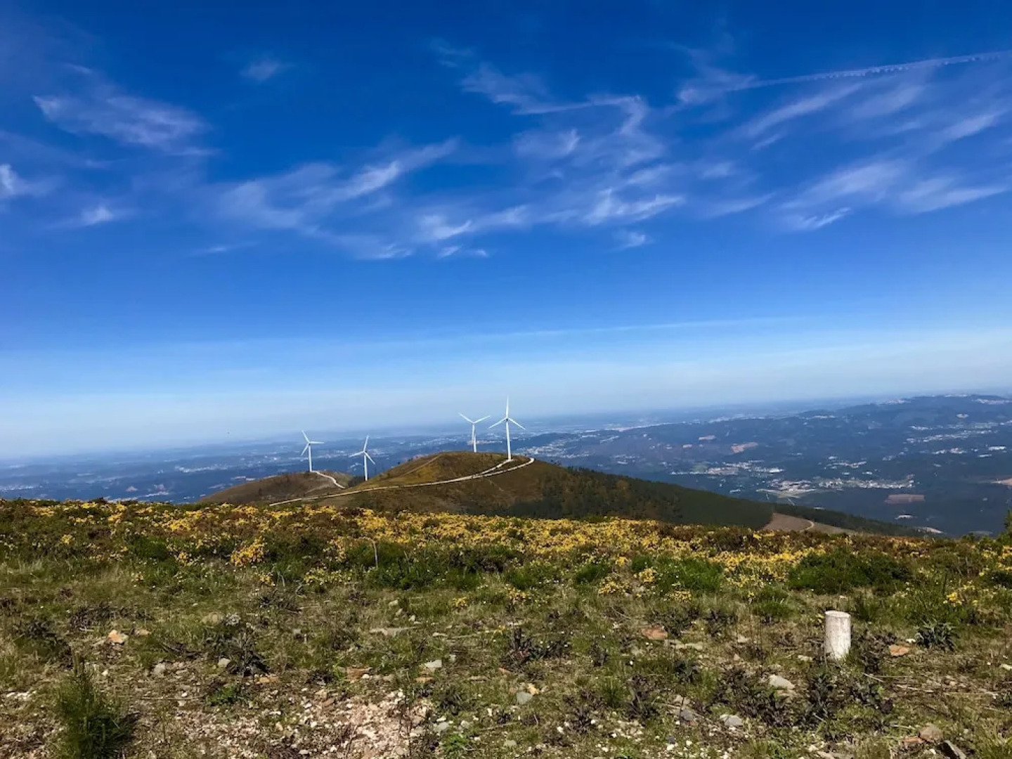 Portantiqua Guest House