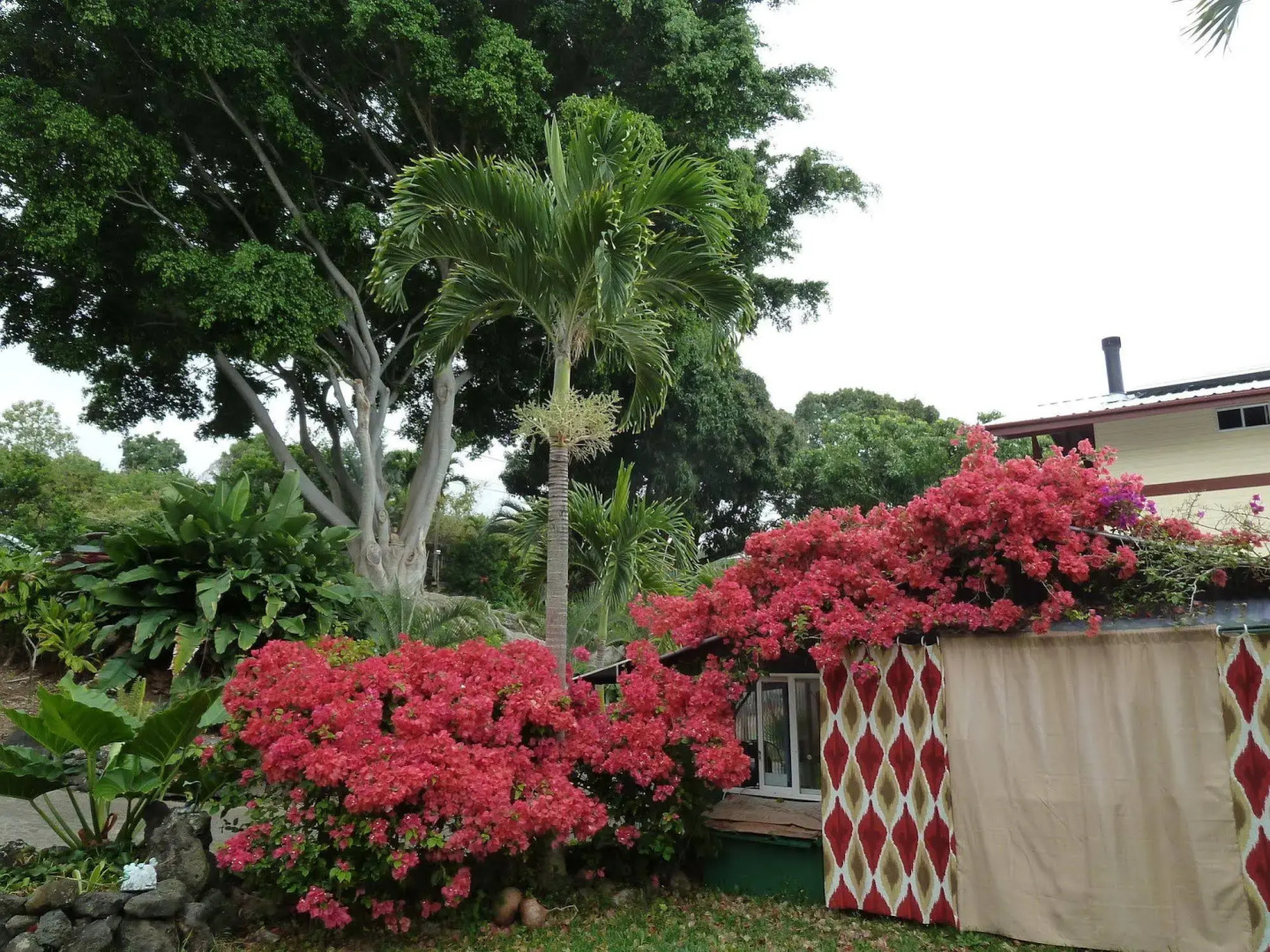 Banyan Tree Sanctuary