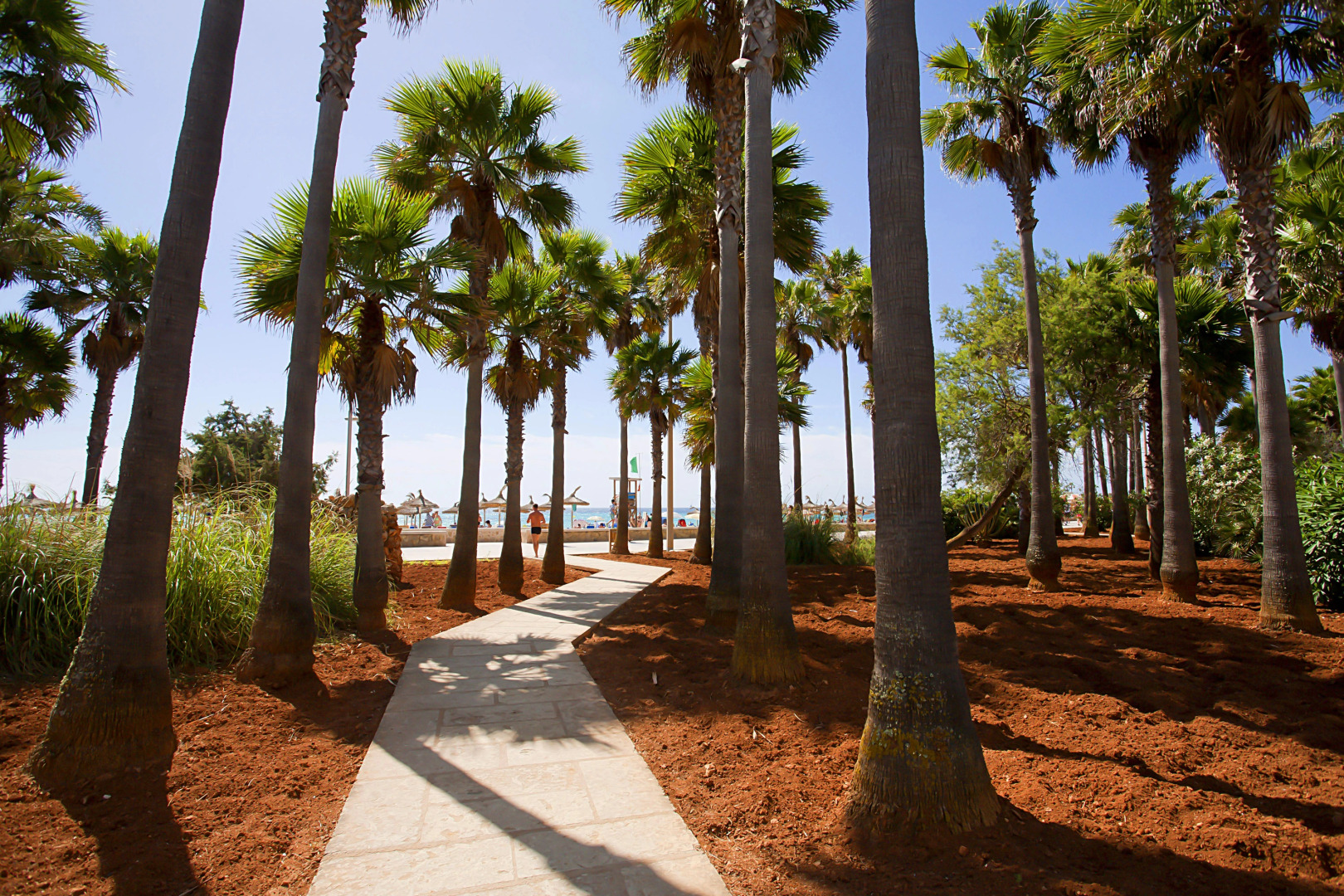 Hipotels Mediterraneo Club