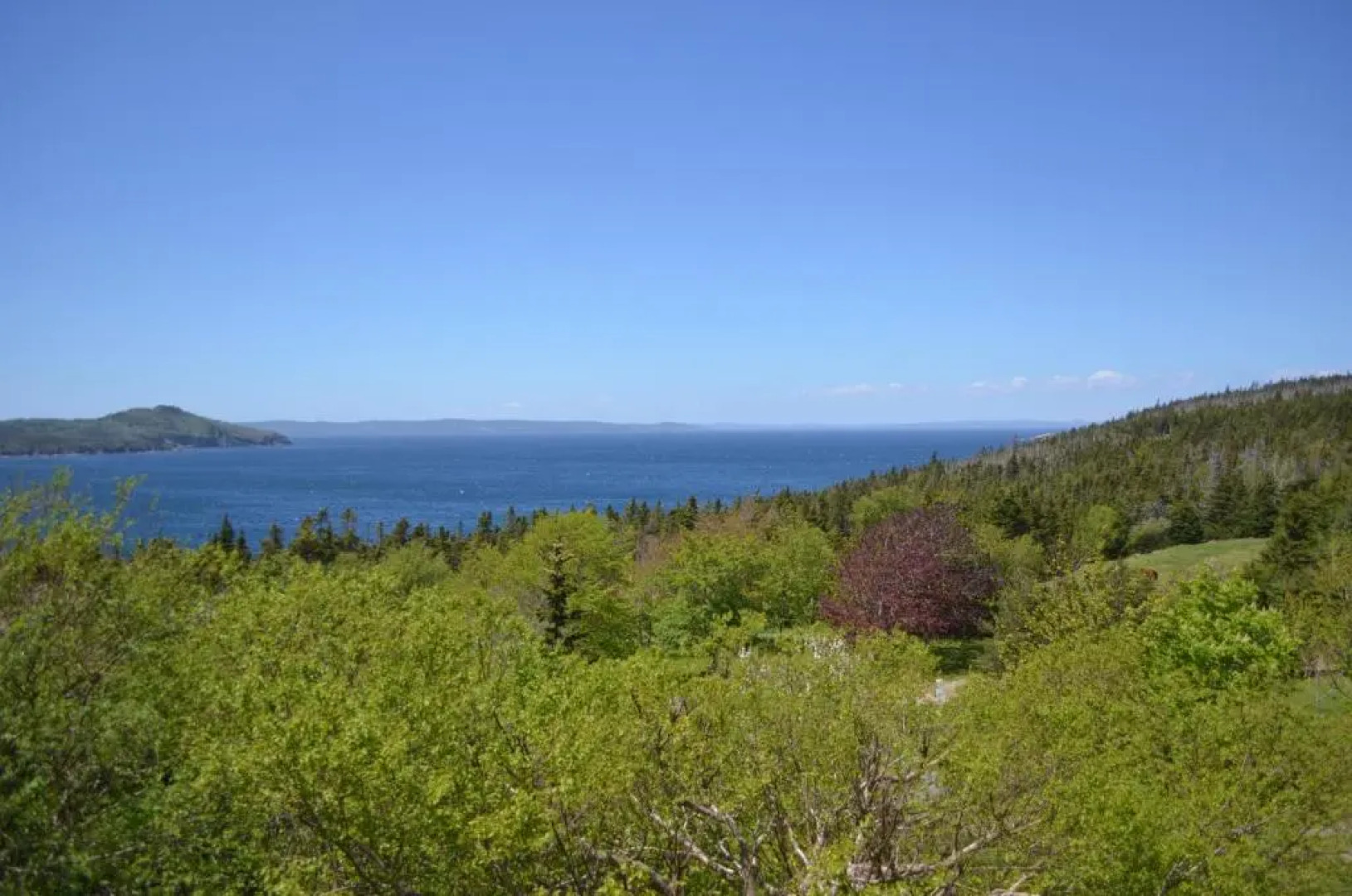 The Doctor's House Inn & Spa