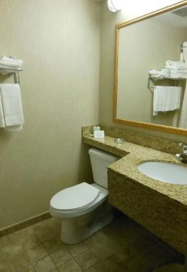 Rodeway Inn