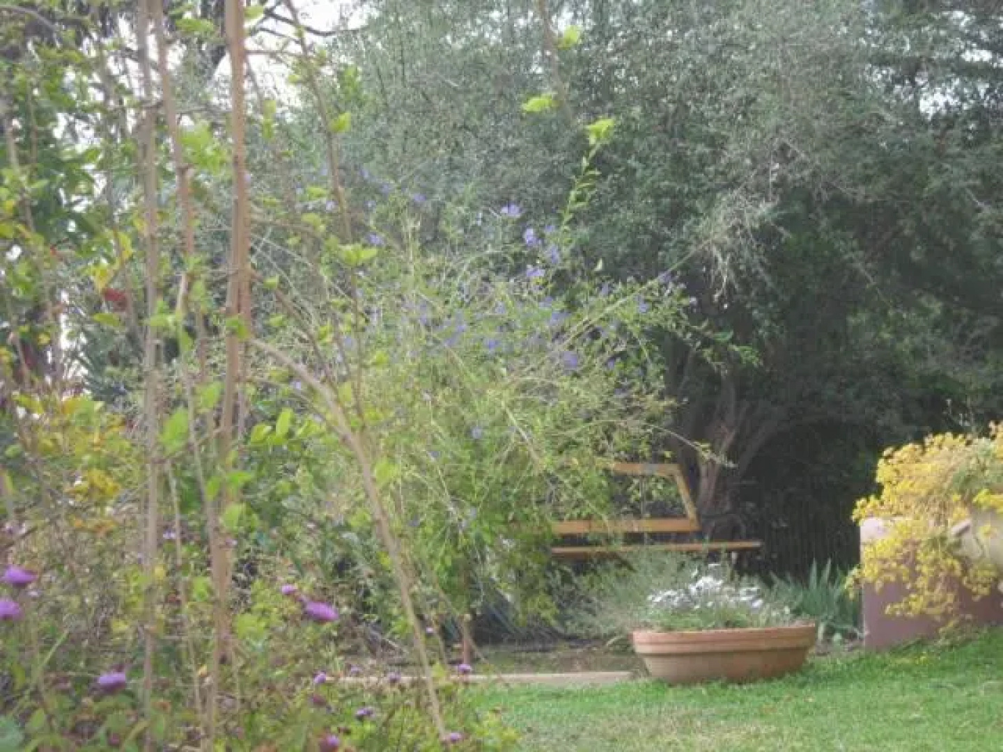 Amalie Cottage Waikerie Unit 1